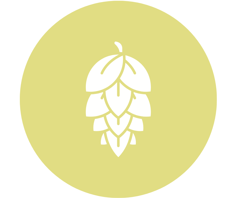 Illustration of a hop cone, a yellow circular background.