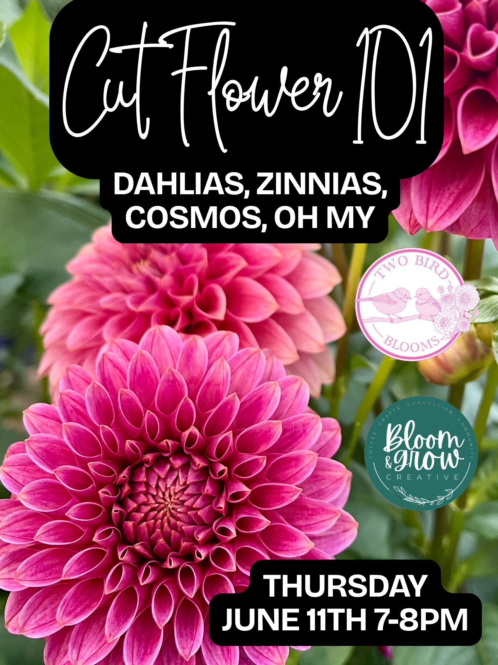Bloom and Grow Creative Cut Flower Garden 101: Dahlias, Zinnias, Cosmos, OH MY! 6/11/2026 7-8 PM