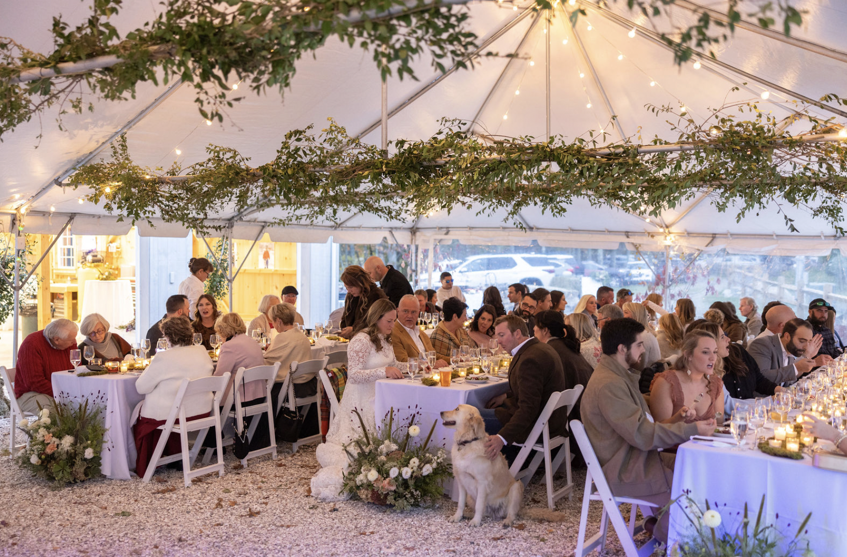 Screen Shot 2026-01-25 at 9.54.52 PM.png