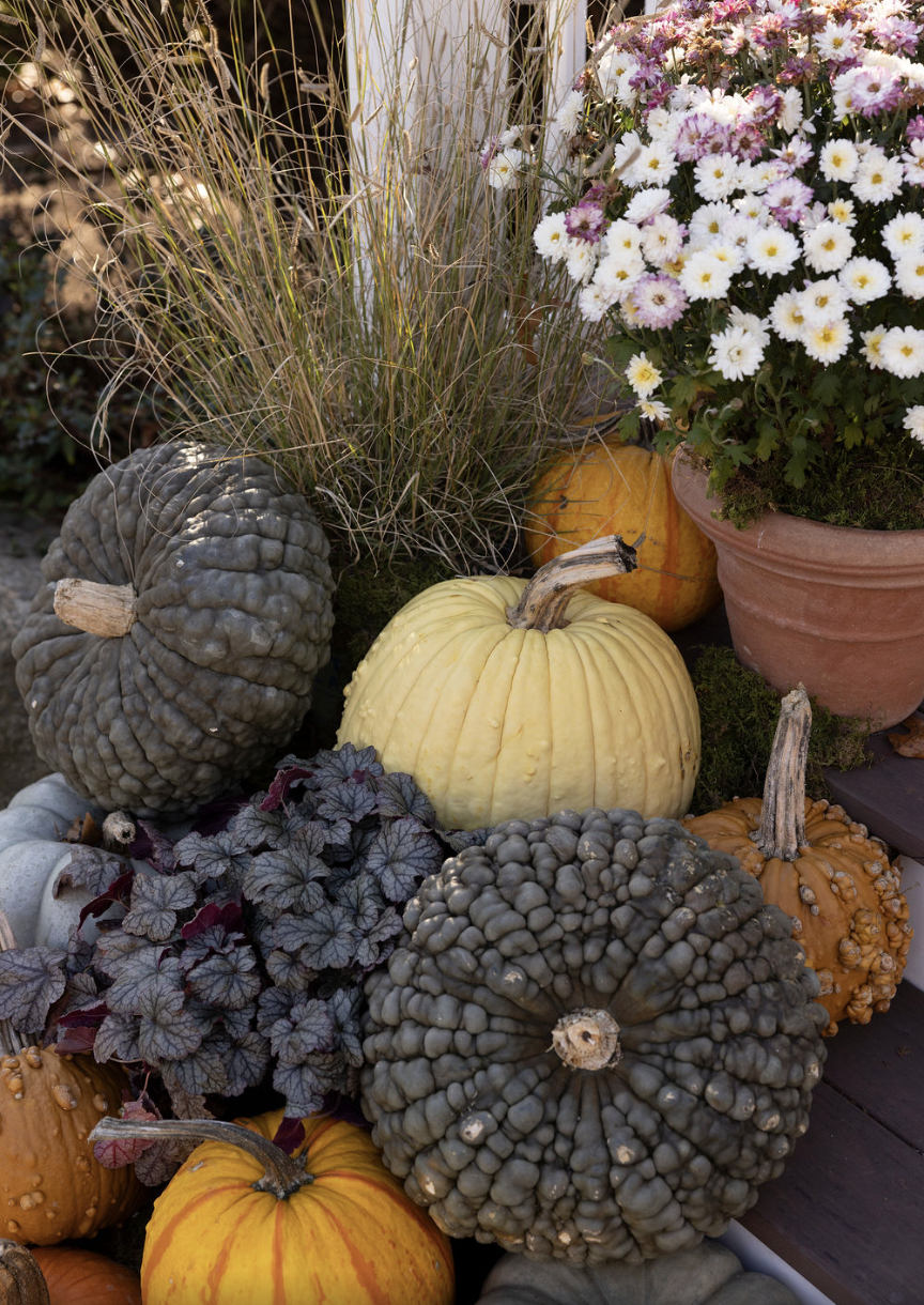 Screen Shot 2026-01-25 at 9.53.02 PM.png