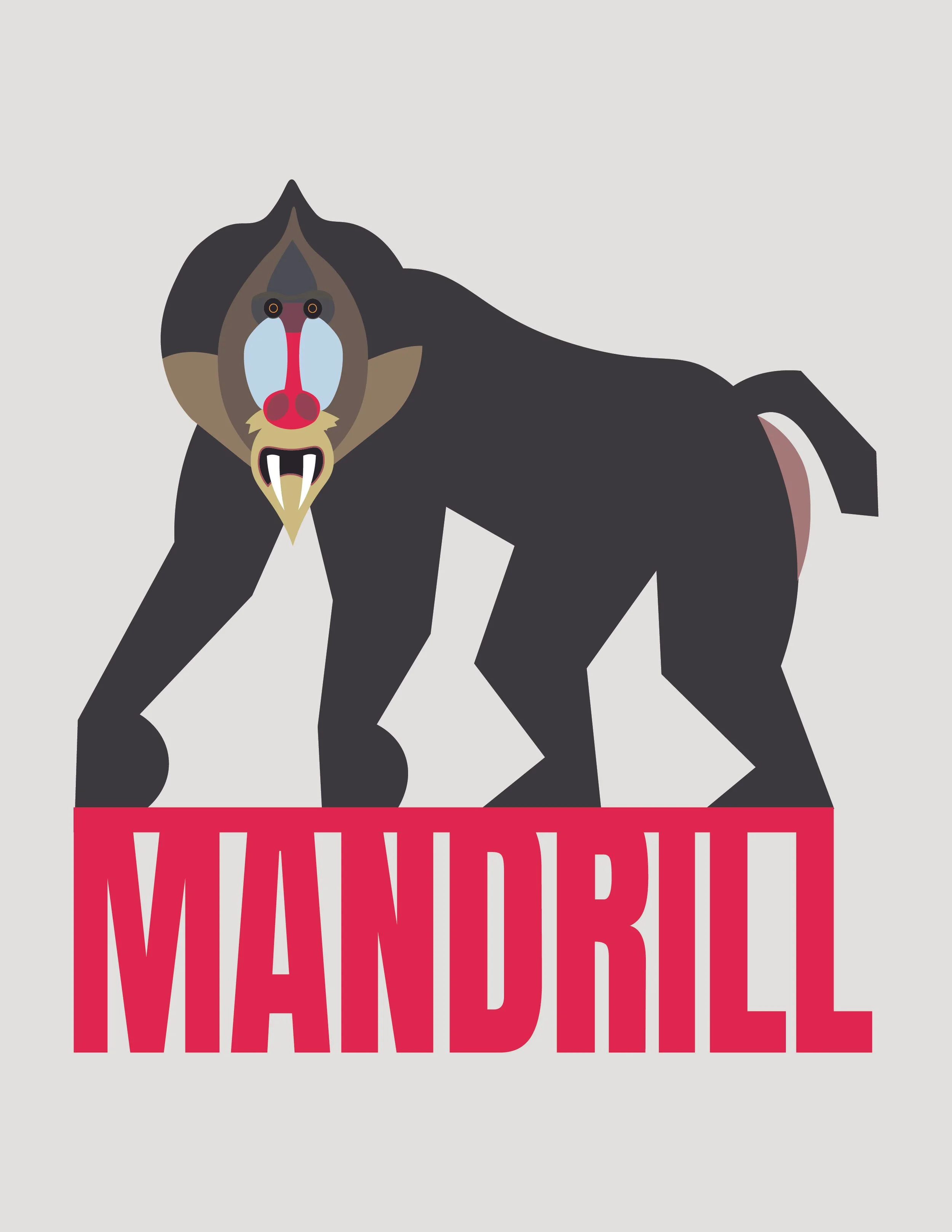 Mandrill.jpg