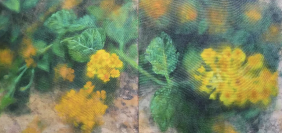 Screenshot 2026-04-04 at 11.33.12 PM.png