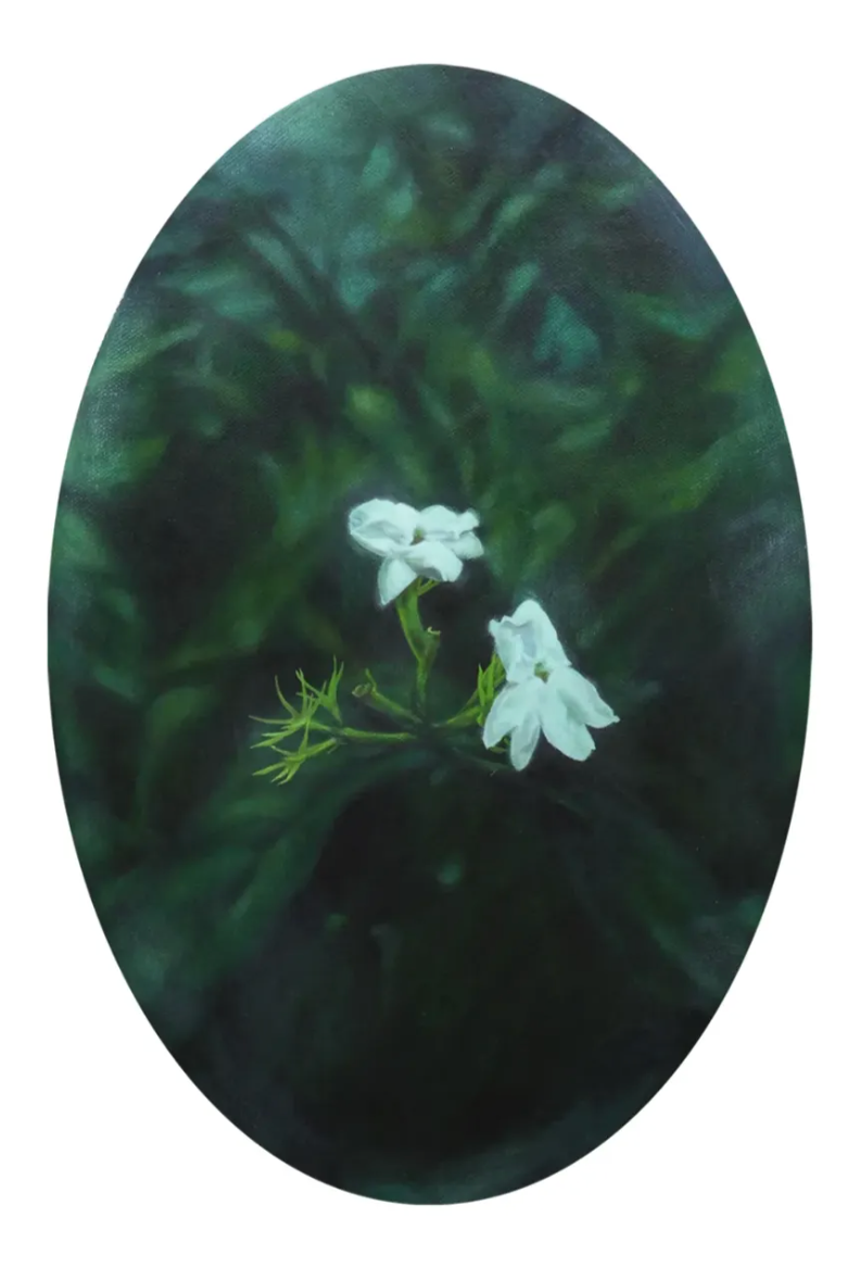 "a study of sampaguita 2"
Acrylic on canvas
12" x 8"
2026