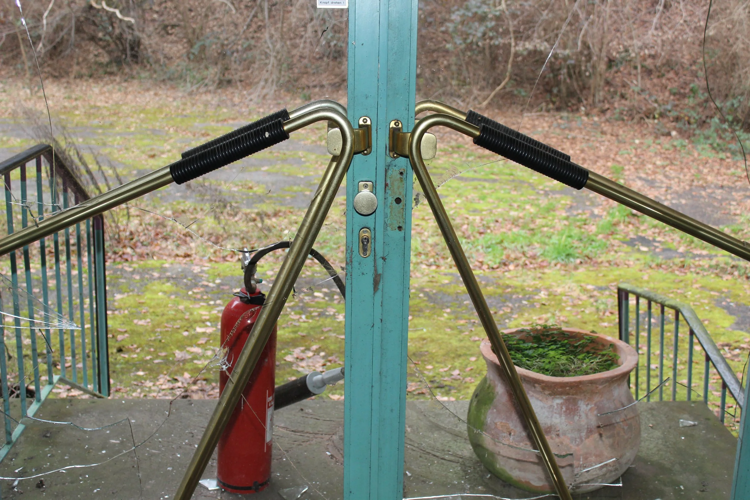 Geschlossenes Gartentor mit Rosten, Spinnweben und geöffneter Tür, im Hintergrund eine Pflanzenkübel und eine brennbare Feuerlöscher, im Freien auf einem Mossbedeckten Gehweg im Herbst