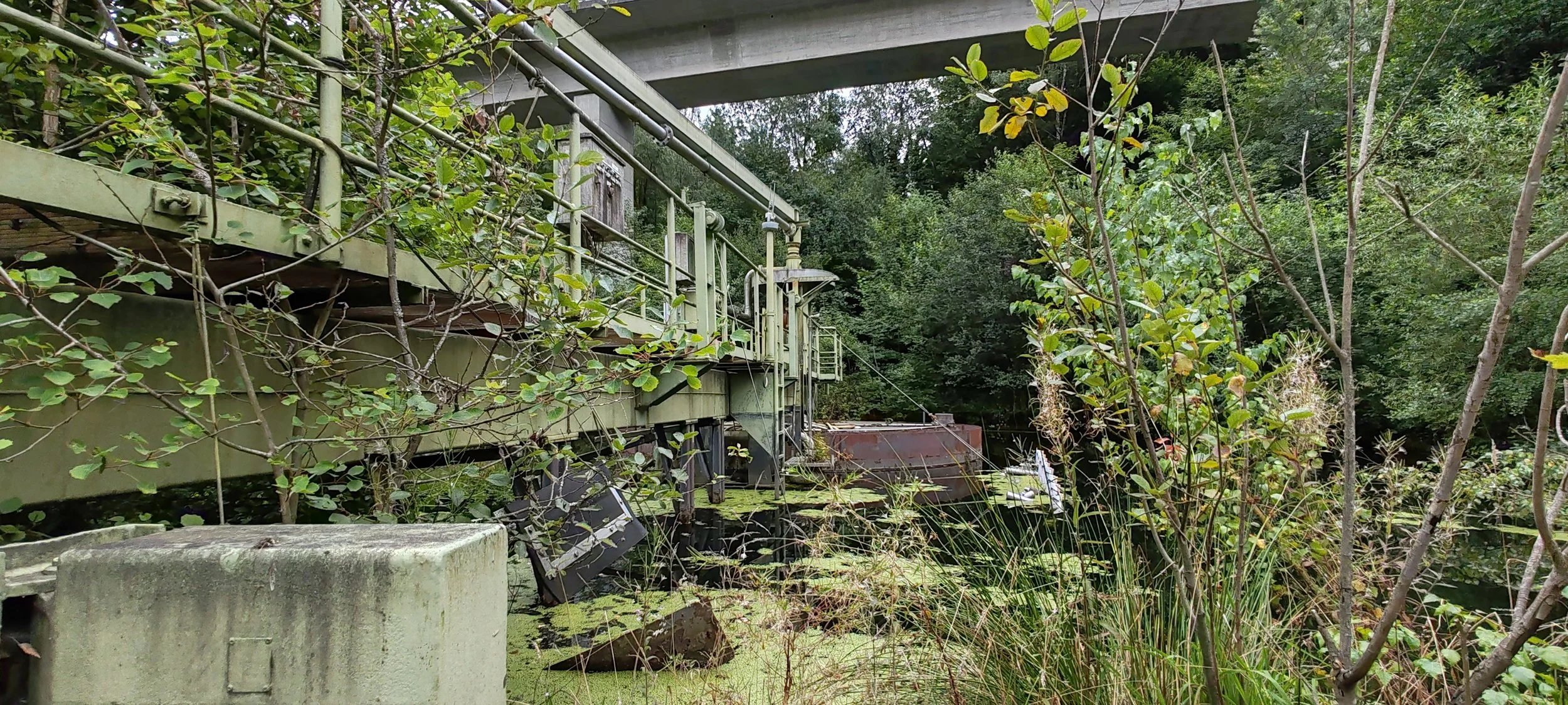 Alter, verlassener Wasserkraftwerk unter einer Brücke, von Vegetation überwachsen, mit Wasser und grüner Algenbedeckung im Flussbett.