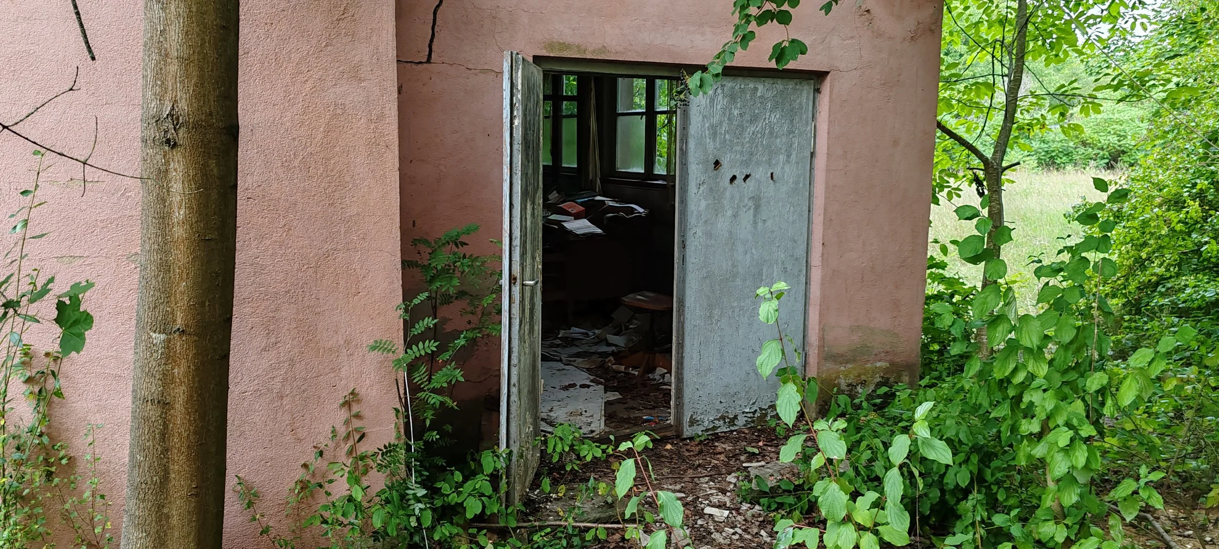Ein altes, verlassenes Gebäude mit einer halb offenen Tür, umgeben von grünen Büschen und Bäumen. Im Inneren erkennt man Spinnweben, verstreute Papiere und Schutt.