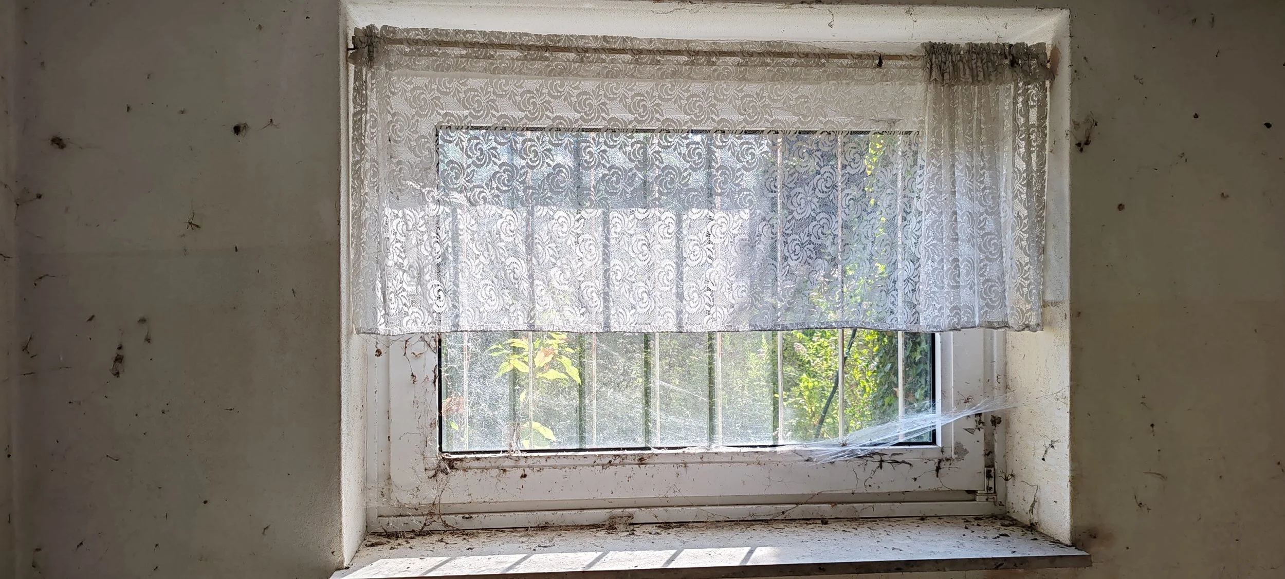 Ein verstaubtes, altes Fenster mit einer zerzausten, weißen Spitzentürmatte davor. Außen sind grüne Blätter und Äste sichtbar.