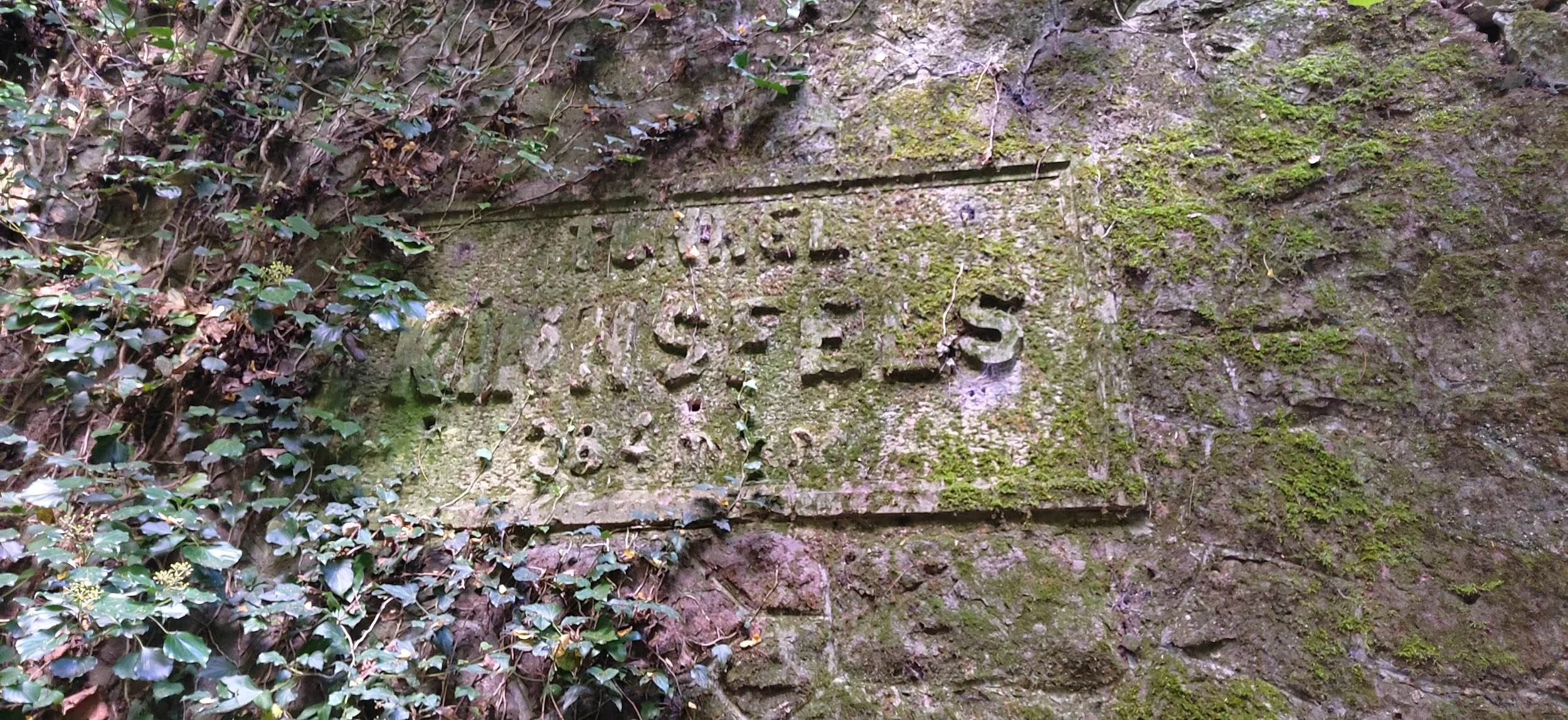Stein mit gravierter Beschriftung, umgeben von Moos und Efeu an einer natürlichen Felsenwand