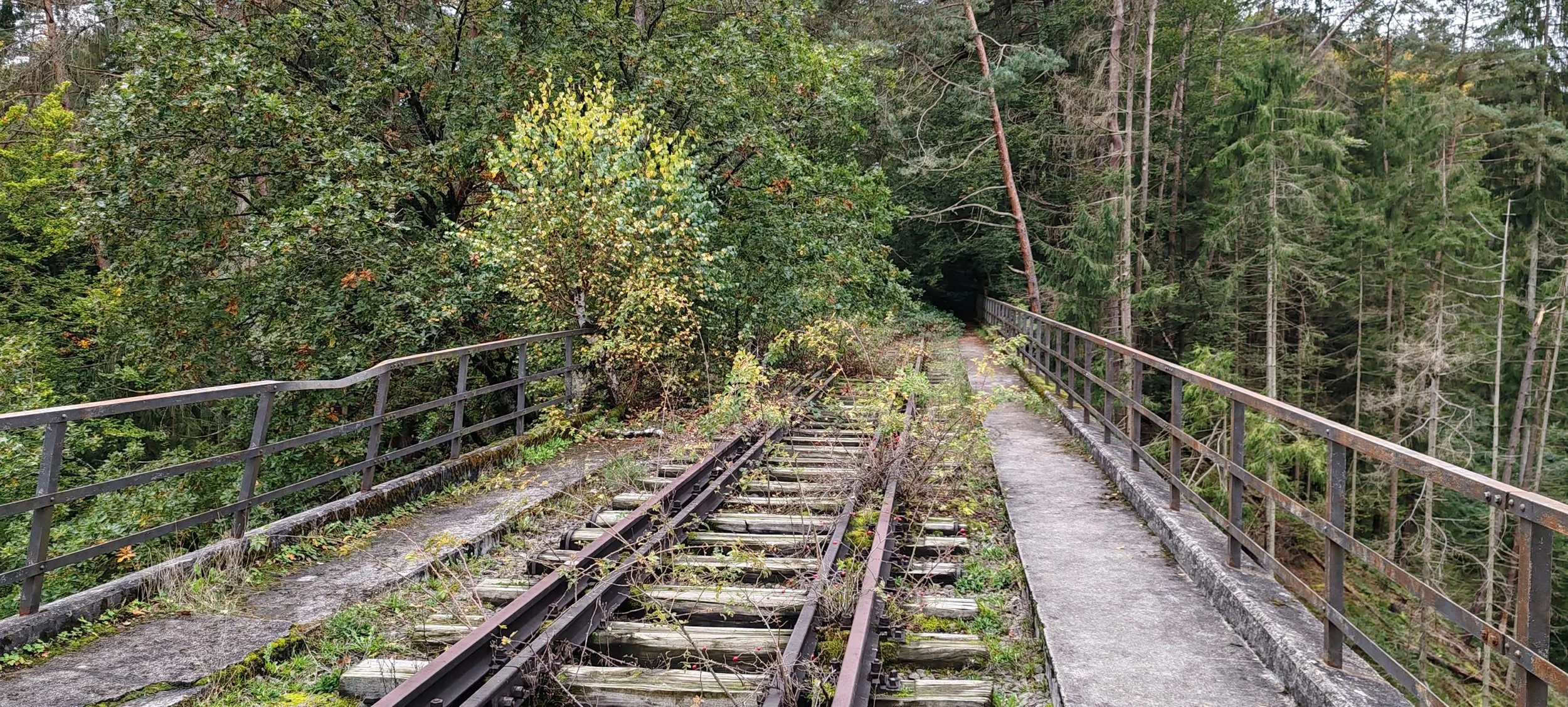 Alter verlassener Eisenbahnbrücke im Wald, überwuchert mit Pflanzen, mit beschädigten Schienen und abgenutztem Gehweg.