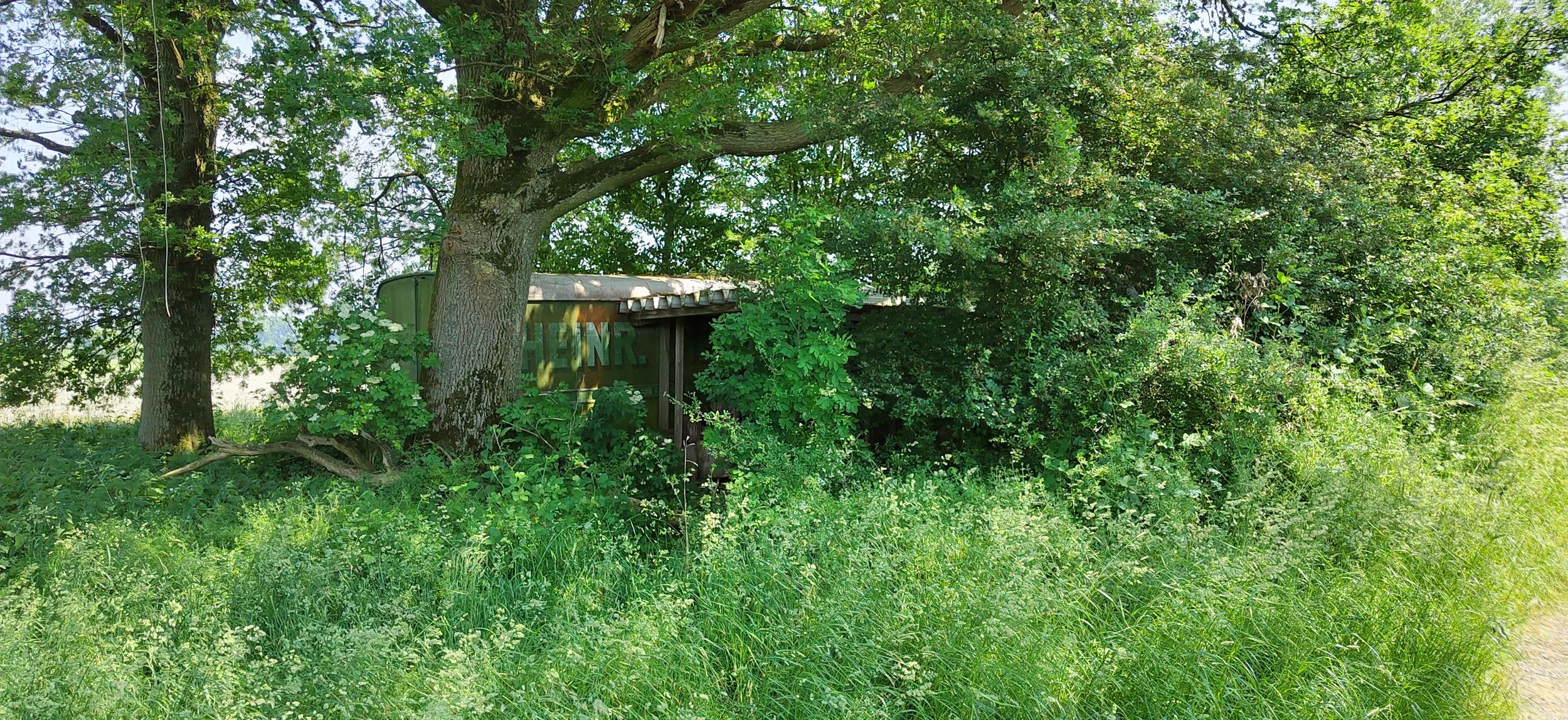 Verfallenes Holzhaus, teilweise von dichten grünen Büschen und Bäumen verdeckt, im Freien in einer natürlichen Umgebung.