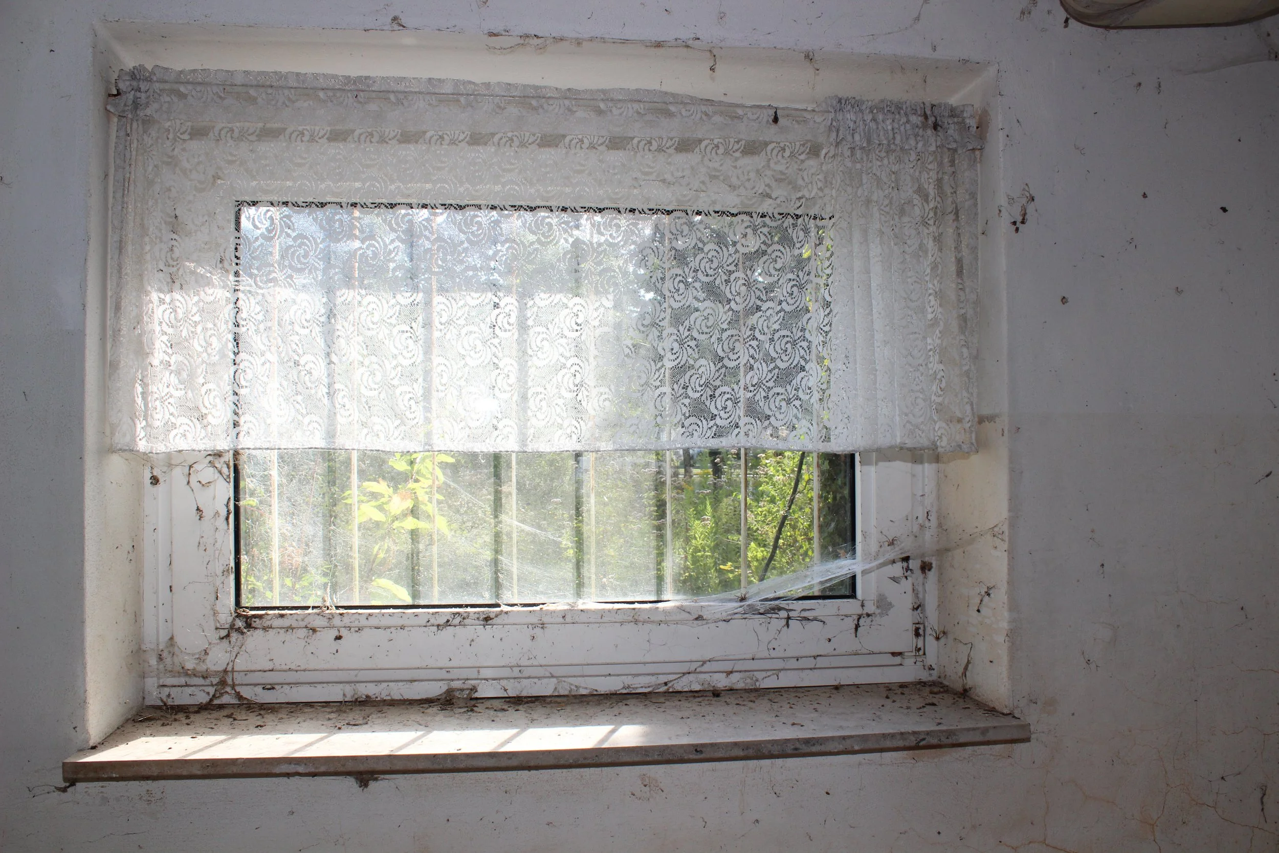 Ein Fenster mit weißen, gewebten Vorhängen, die teilweise verrutscht sind. Das Fenster ist schmutzig und hat Spinnweben, mit Blick auf einen draußen grünen Garten.