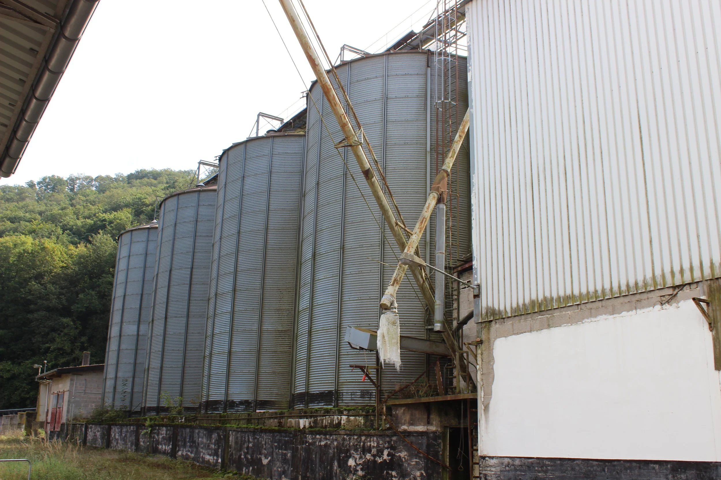 Alter Industriegebäude mit rostigen Silos und einer Metalltreppe, umgeben von grünem Wald.