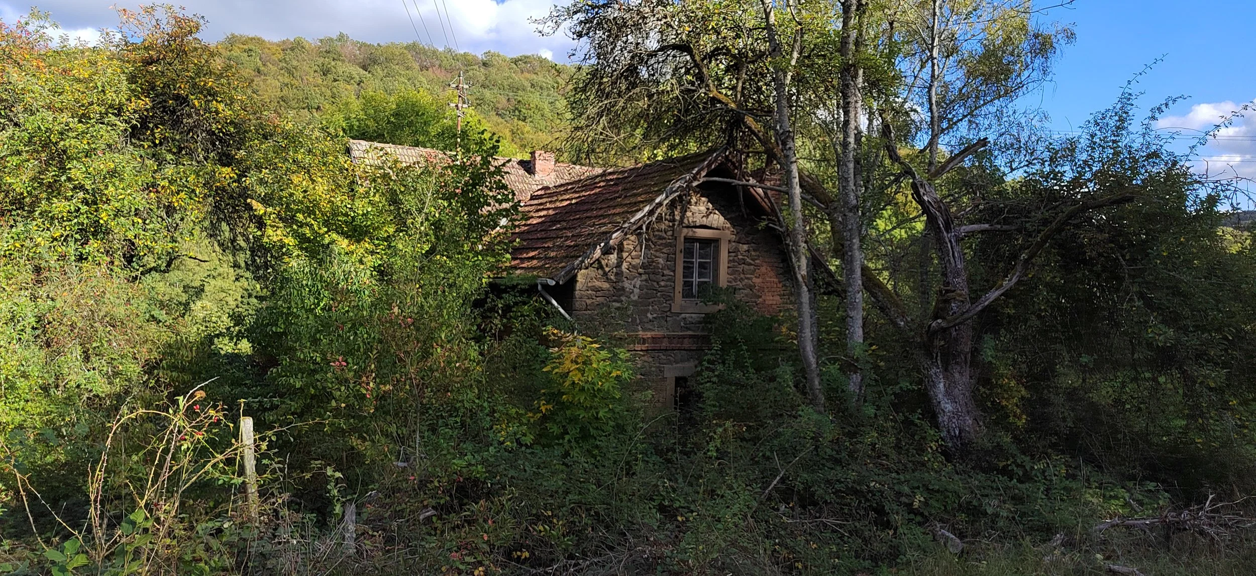 Ein verfallenes Haus, überwuchert von Büschen und Bäumen in einer ländlichen Gegend, mit einem blauen Himmel im Hintergrund.