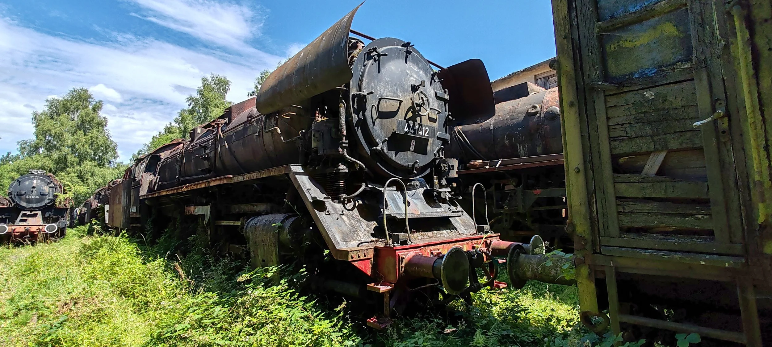 Verrostete alte Dampflok auf einem Lokschuppen-Gelände, umgeben von grünen Pflanzen, im Freien bei sonnigem Himmel.