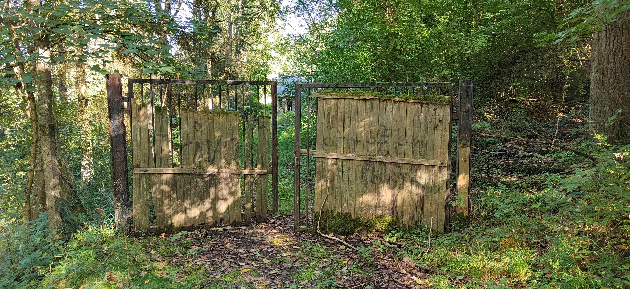 Ein Zauntor in einem grünen, bewaldeten Gebiet, bestehend aus einem Metallrahmen und Holzplatten, die teilweise verfallen und moosbedeckt sind.