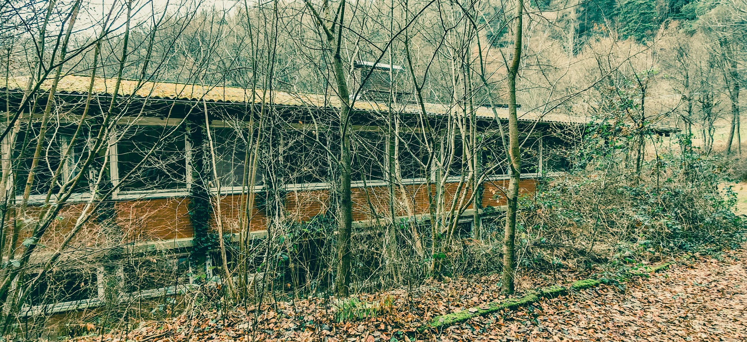 ein geheimnisvolles Haus, das von Bäumen im Herbst umgeben ist, mit einer hohen, dunklen Holzwand und einem Flachdach.