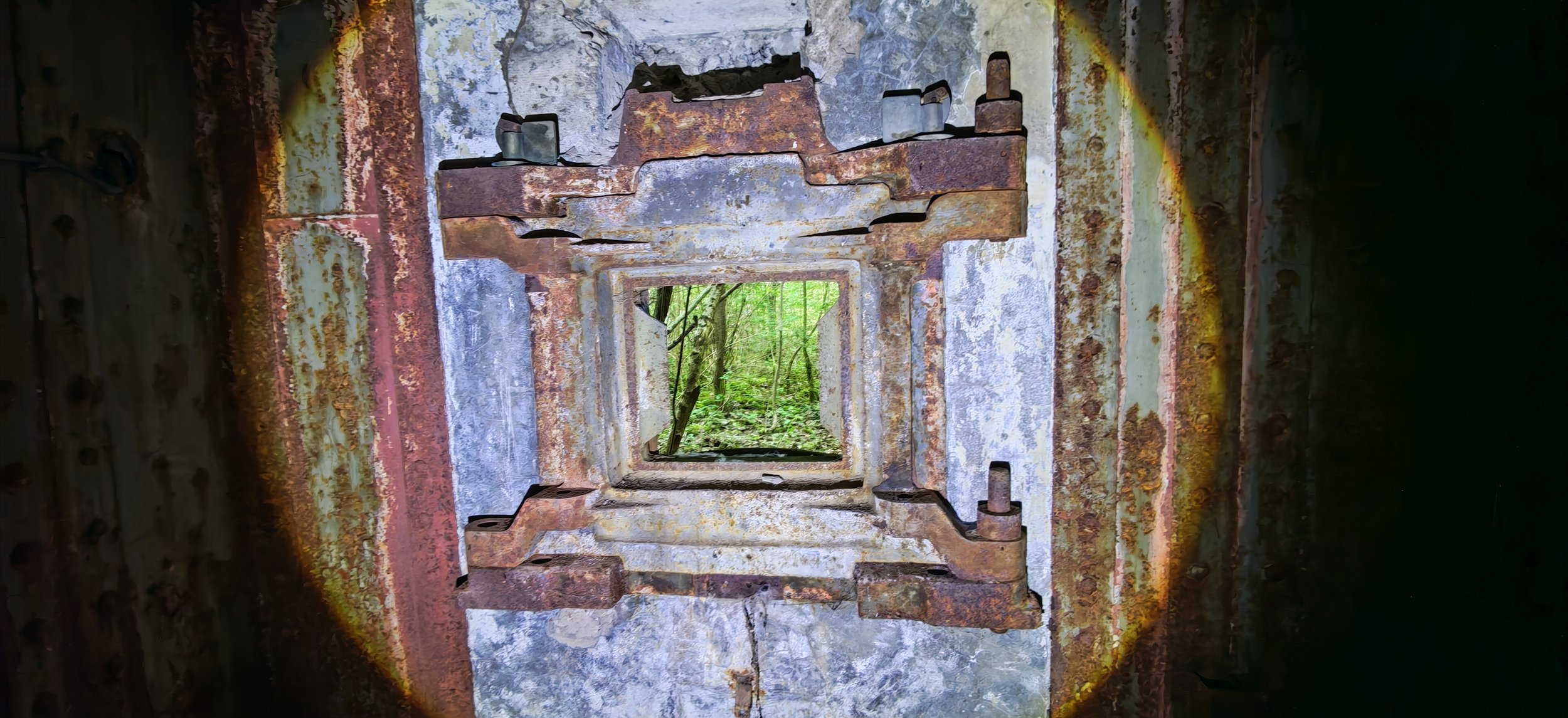 Blick durch eine verfallene, rustikale Struktur in den Wald mit grünen Bäumen im Hintergrund.