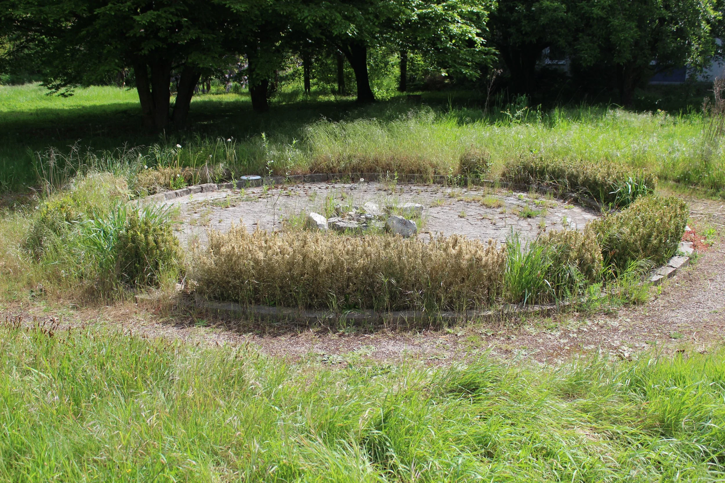 Verlassener kreisförmiger Brunnen mit überwachsen, zarigem Pflanzen im Park, umgeben von Gras und Bäumen.