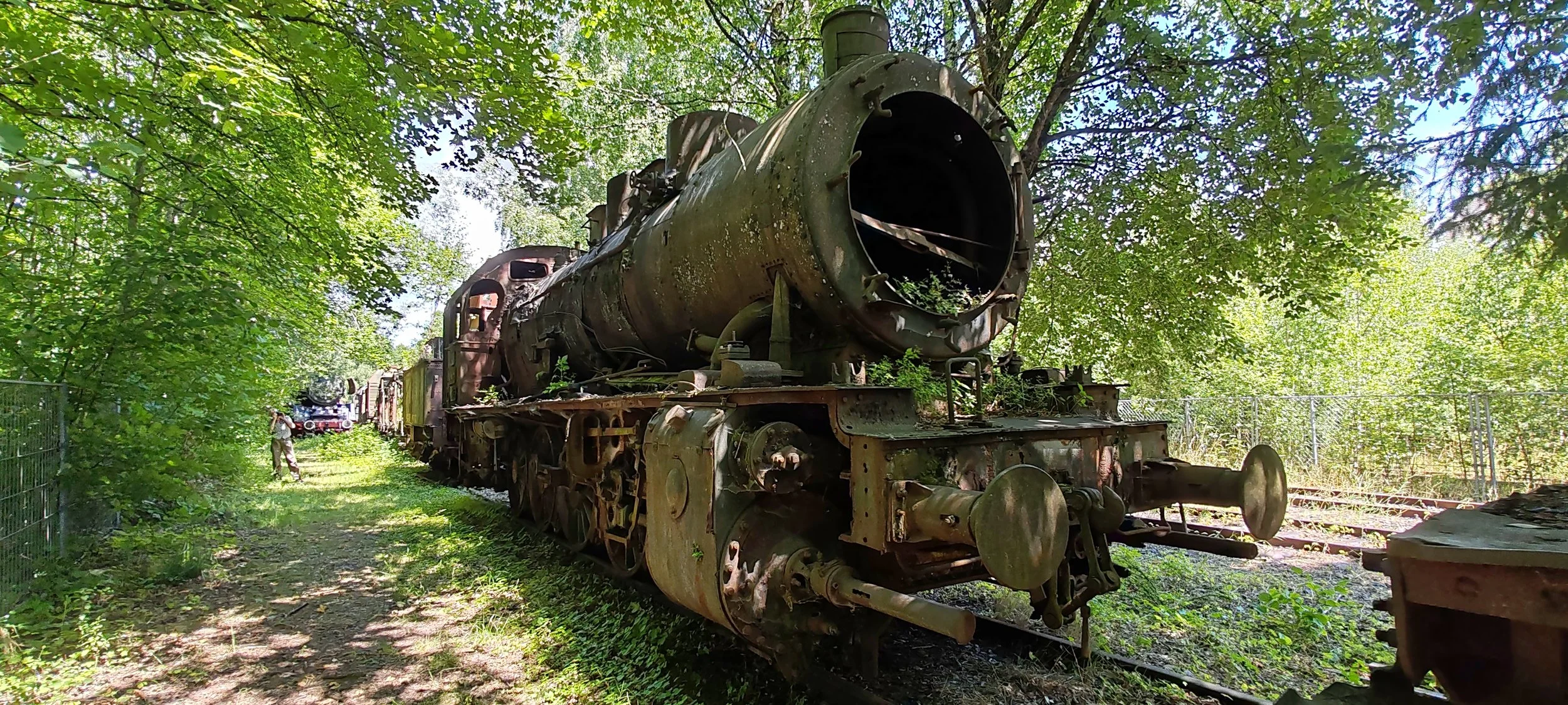 Alter, verrosteter Dampflok steht im Grünen, umgeben von Bäumen, in einem freien Gelände, mit einer Person im Hintergrund.