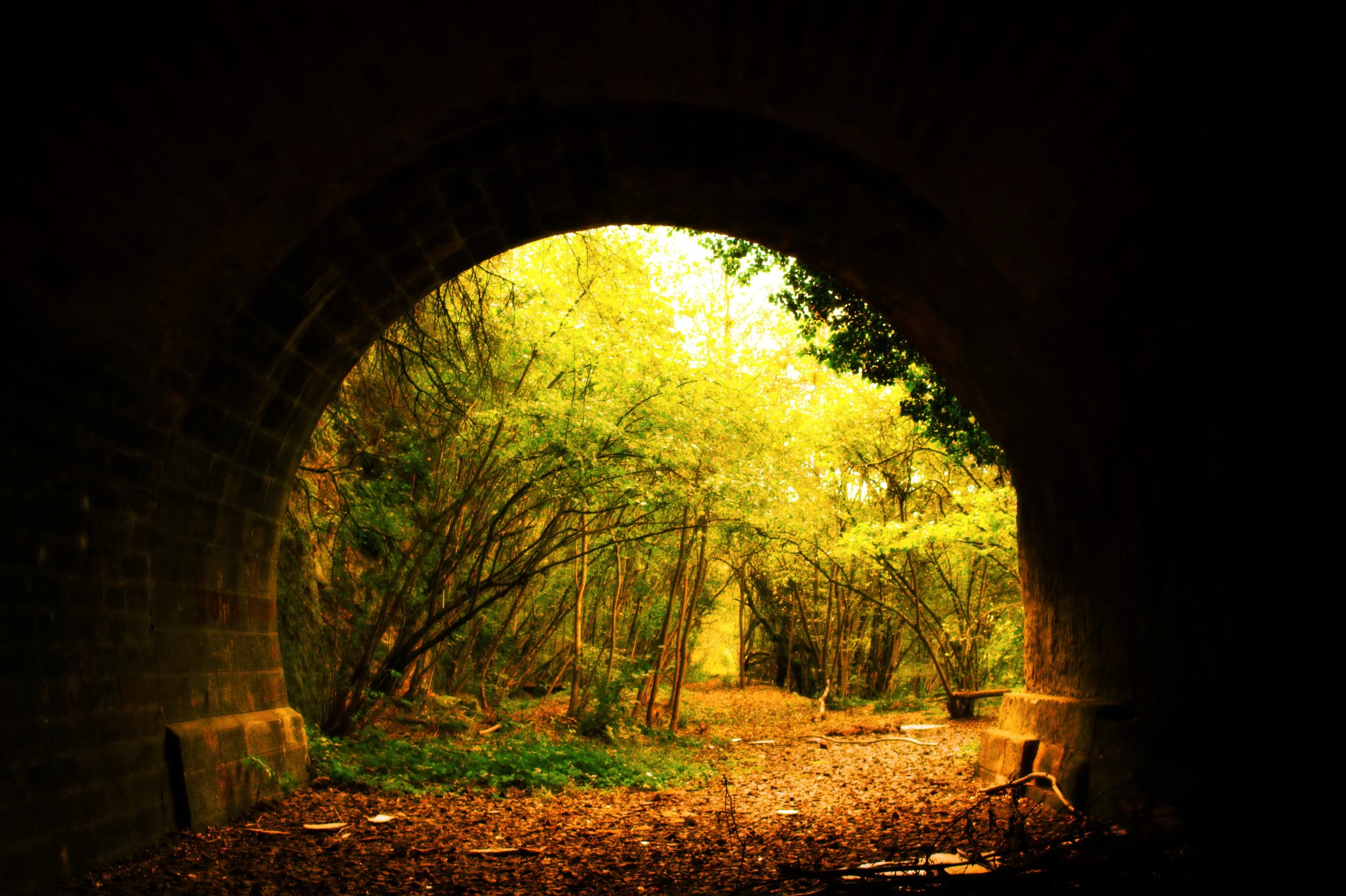 Blick aus einem dunklen Tunnel auf einen grünen, sonnendurchfluteten Waldweg mit Bäumen.
