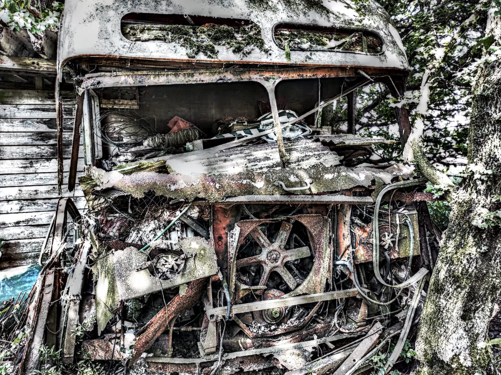 Verrosteter, zerfallender Bus in einem Wald bei Nähe eines Baums und eines Holzhauses.