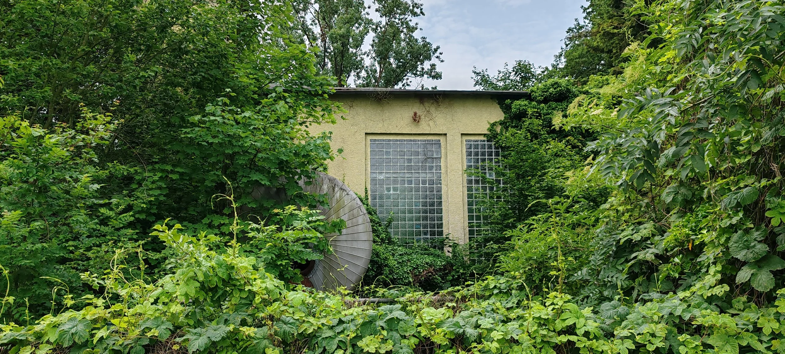 Ein überwuchertes Haus mit dicken Pflanzen und Büschen umgeben.