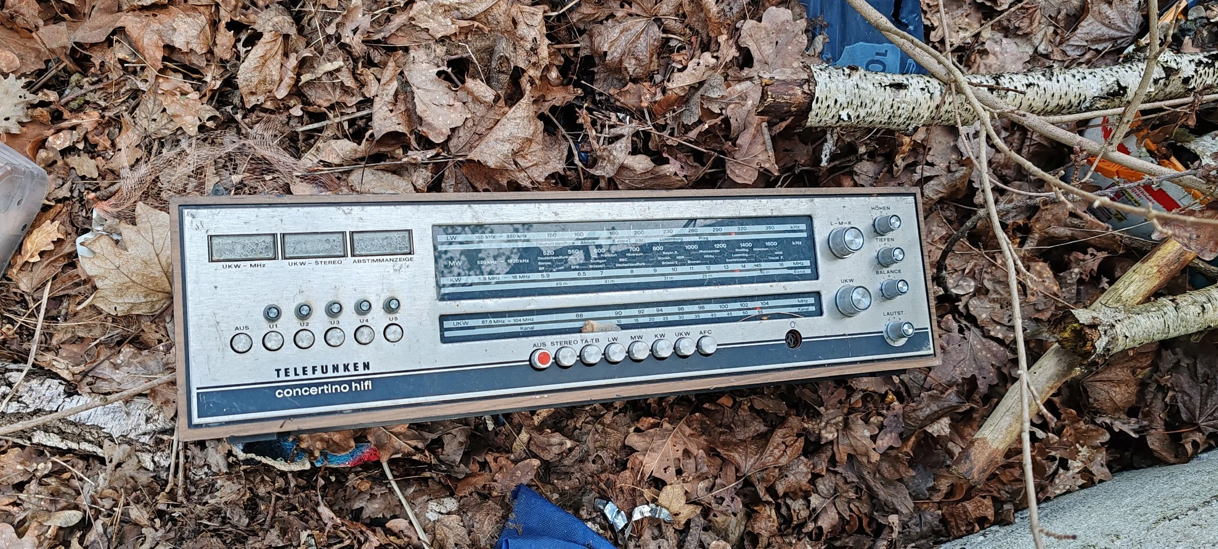 Ein alter Radiogerät liegt auf einem Boden voller Laub, Gräser und Äste, im Freien.