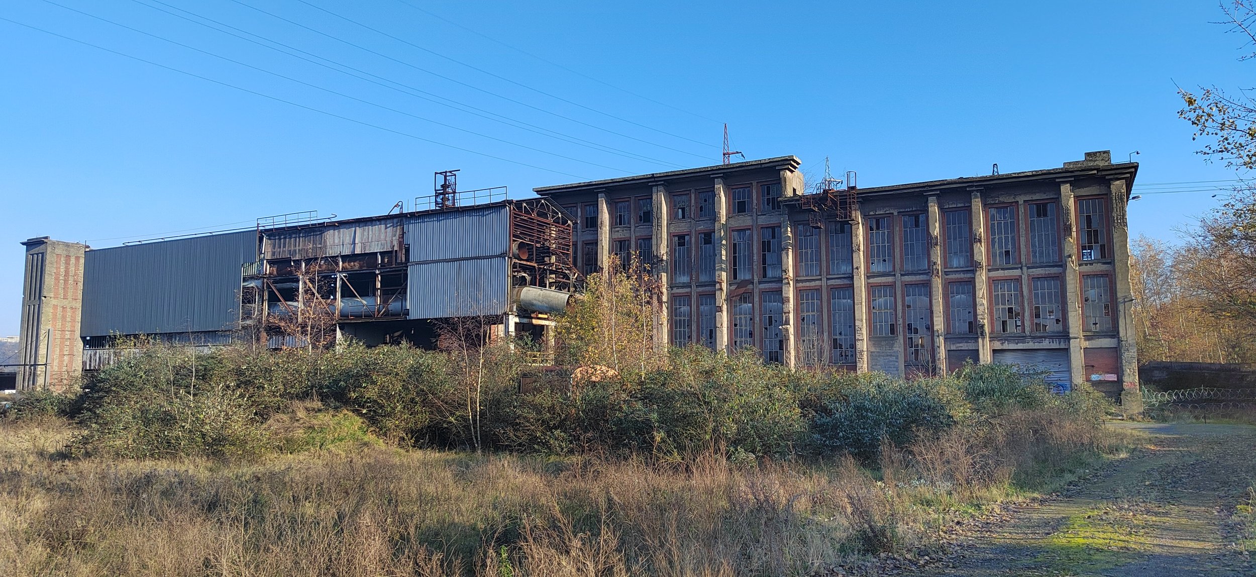 Verfallene industrielle Fabrikhalle mit rostigen Metallstrukturen und überwuchertem Gelände.