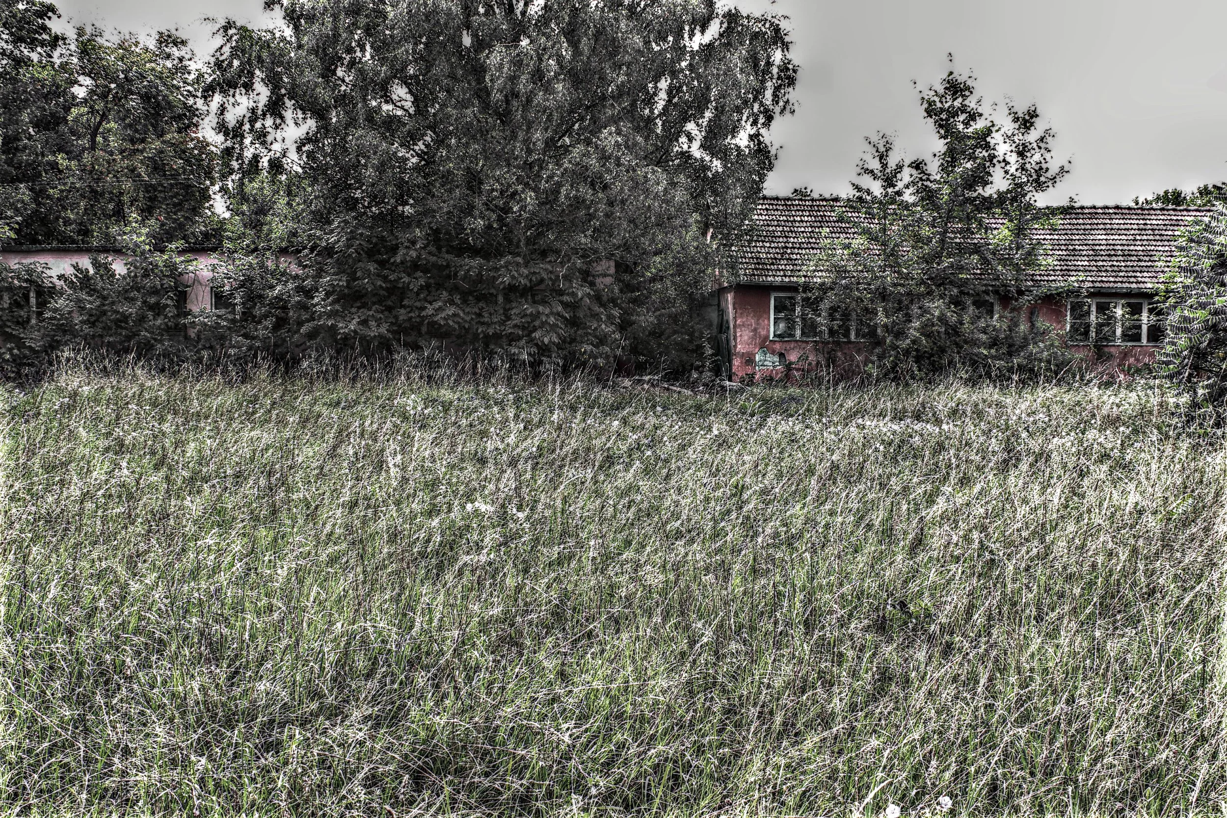 Ein verfallenes Haus im Hintergrund, hinter Bäumen, mit hohem Gras im Vordergrund, unter einem grauen Himmel.