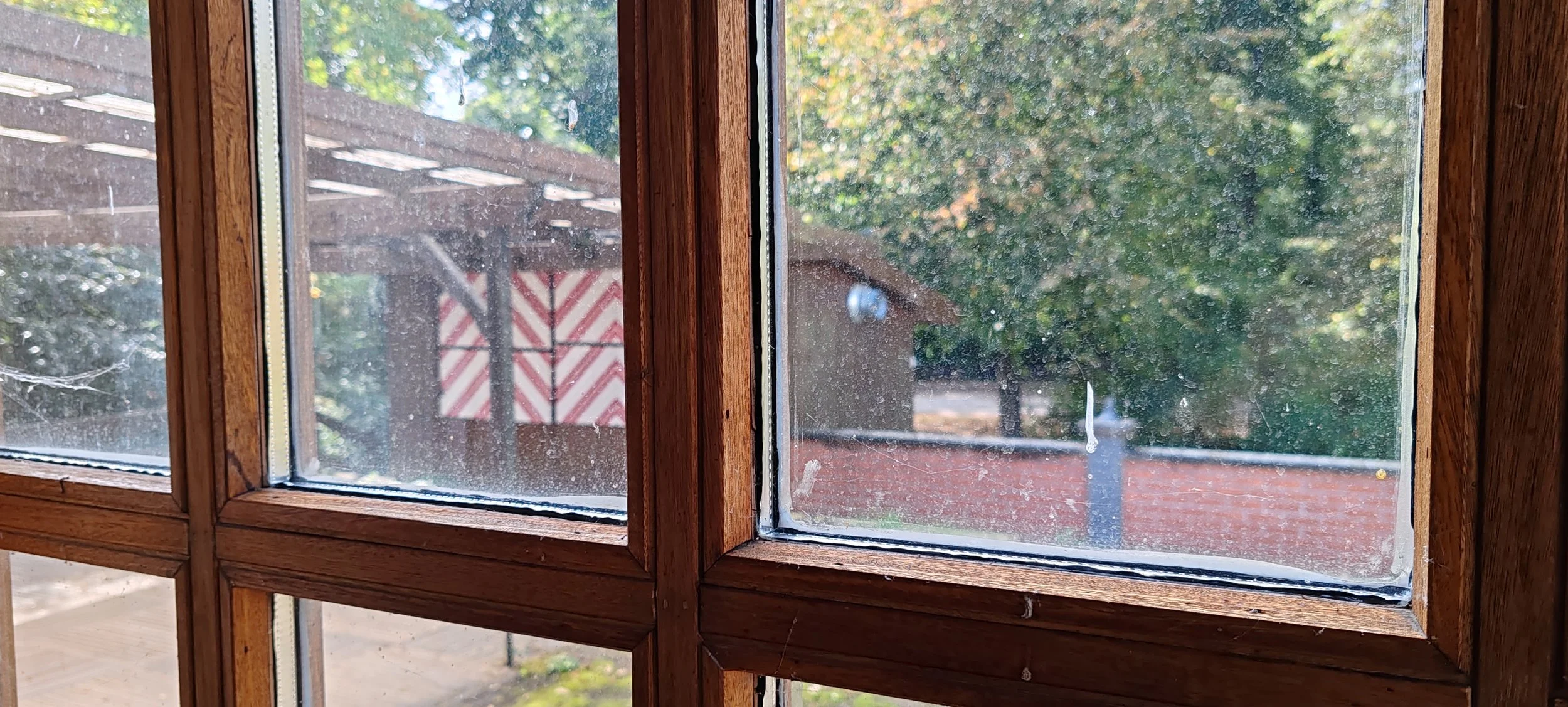 Innenansicht eines Holzfensters mit Staub- und Fleckenverschmutzung, Blick nach draußen auf eine Gartenfläche mit Bäumen und einem Bau im Hintergrund.