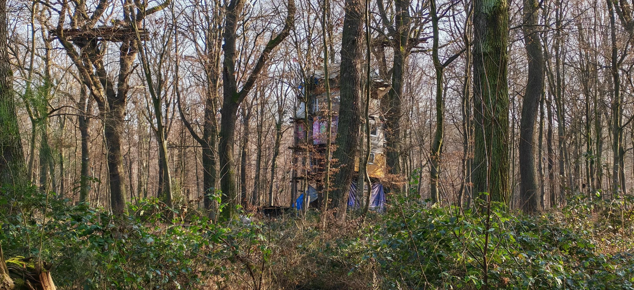 Ein Baumhaus im Wald, umgeben von Bäumen ohne Blätter im Frühling oder Herbst.