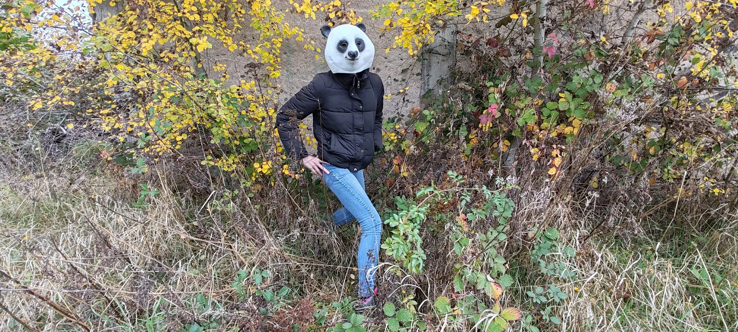 Person mit einem Panda-Masken im Freien, umgeben von Sträuchern und Herbstlaub