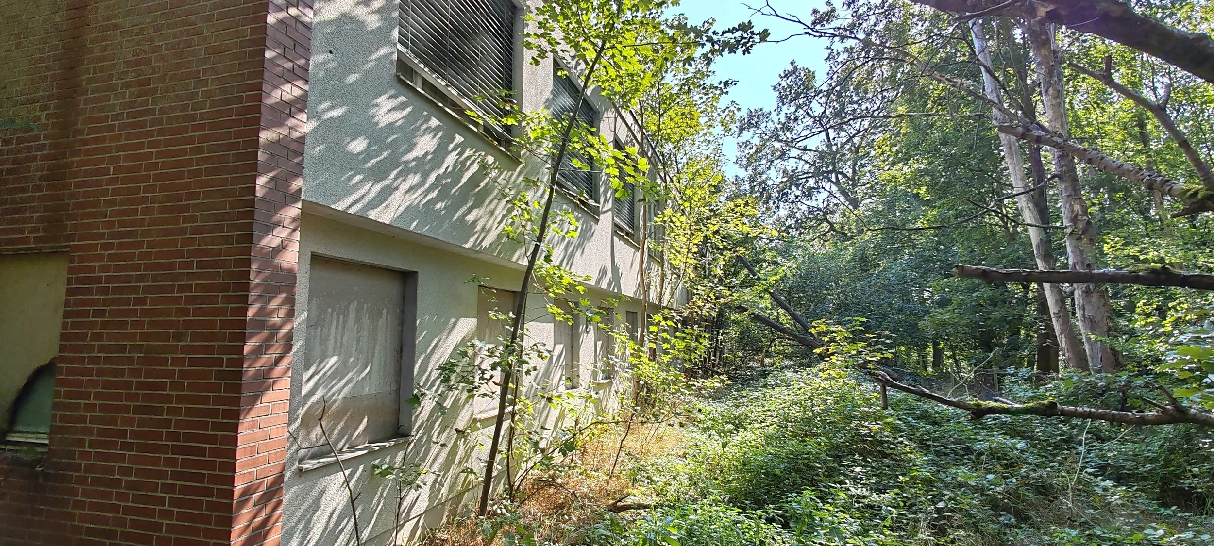 Ein Gebäude mit hellen und roten Ziegelwänden, umgeben von dichtem Grün mit Bäumen und Büsche.