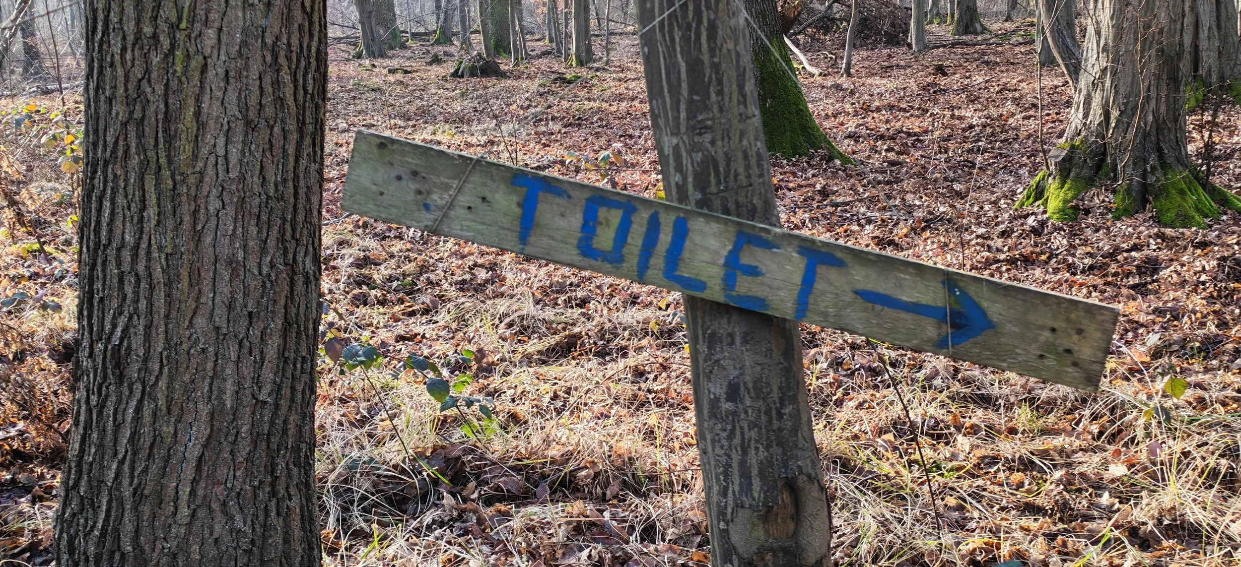 Ein Holzschild mit blauer Aufschrift 'TOILET' und Pfeil zeigt nach rechts, das an einem Baum im Wald befestigt ist.