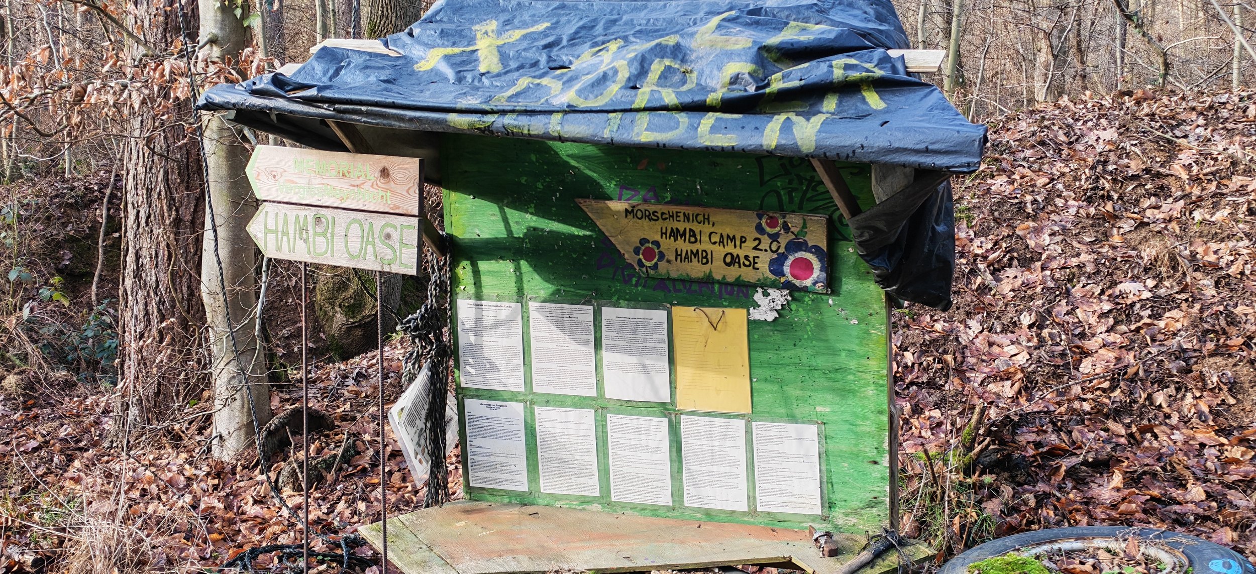 Hinweistafel im Wald mit Informationen, handgemalten Schildern und Begrüßungsnotizen in HAMBIOASE und HAMBI CAMP, umgeben von Laub und Bäumen.