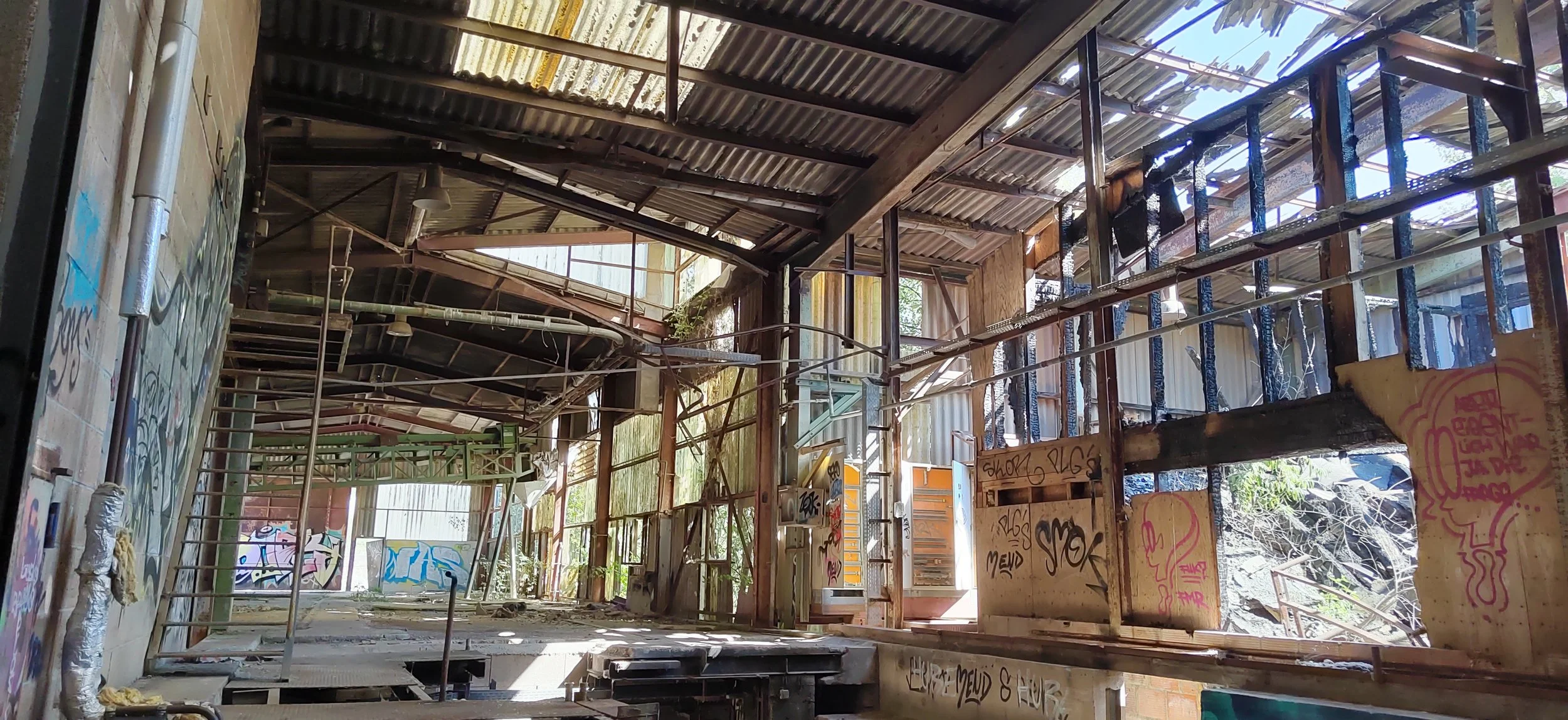 Innenansicht eines verfallenden, graffiti-beschmierten Gebäudes mit Holzwänden und Metalldecke, durch die zarte Natur zu sehen ist.