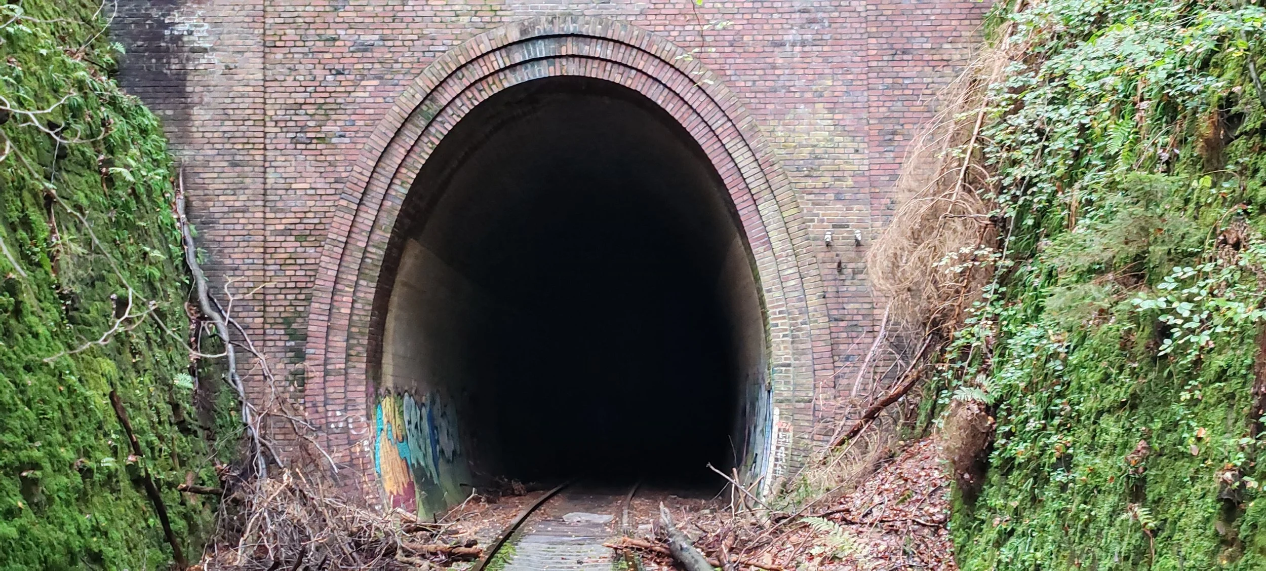Ein dunkler Bahntunnel aus roten Ziegelsteinen, umgeben von grünen, bewachsenen Fassaden, mit verwittertem Bahnsteig und Baumaterialien im Vordergrund.