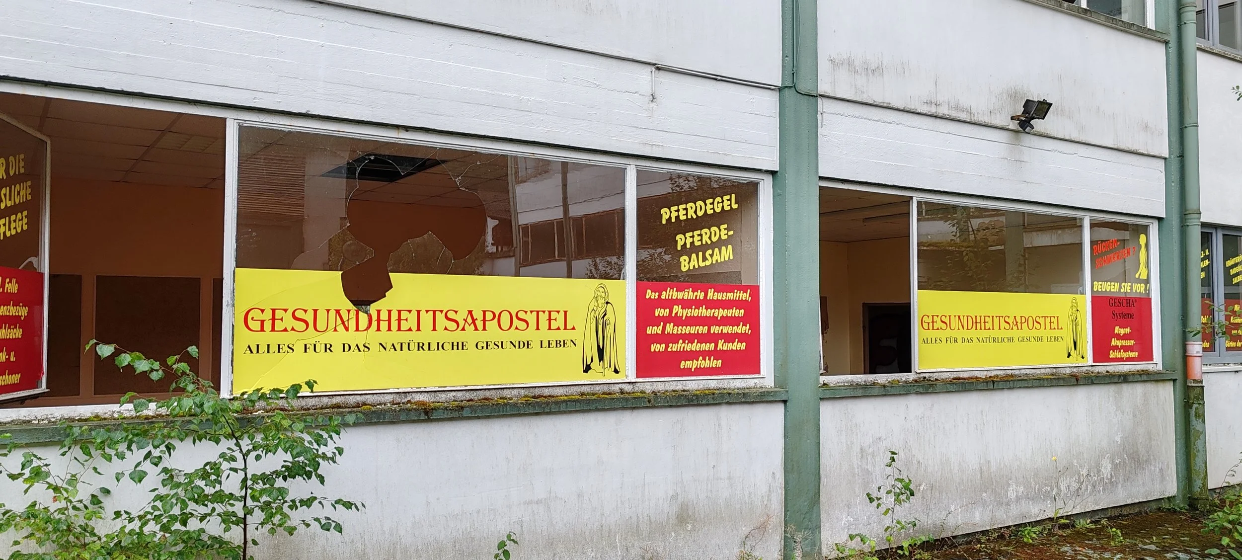 Fenster eines Gebäudes mit gelben und roten Schildern, die Werbung für Gesundheitsprodukte und -dienstleistungen wie Pferdeöl, Pferdebalsam sowie natürliche Gesundheitsmittel anzeigen. Ein Baum mit grünen Blättern steht im Vordergrund.