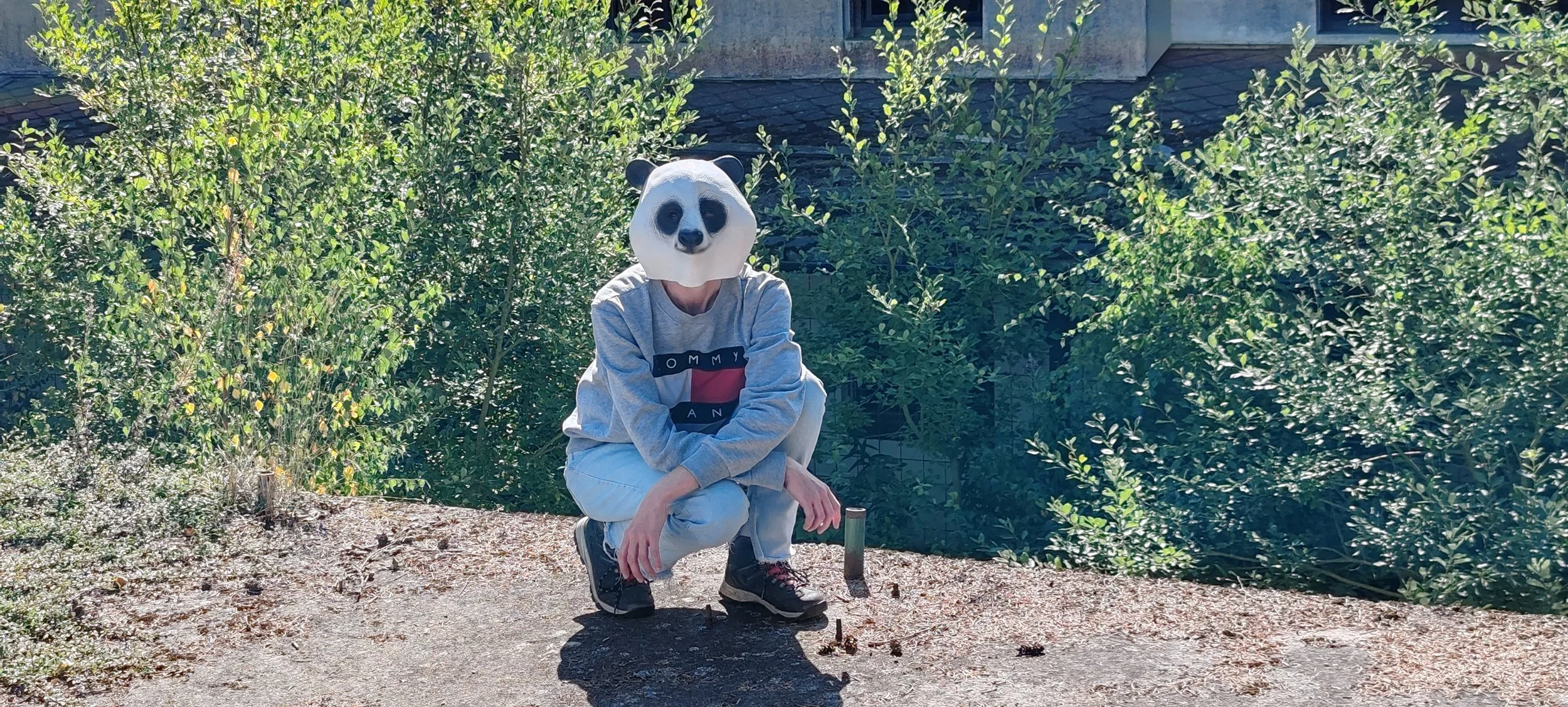 Person mit Panda-Maske, grauem Sweatshirt und Jeans, kniet auf einem Gehweg vor grünen Büschen im Freien.