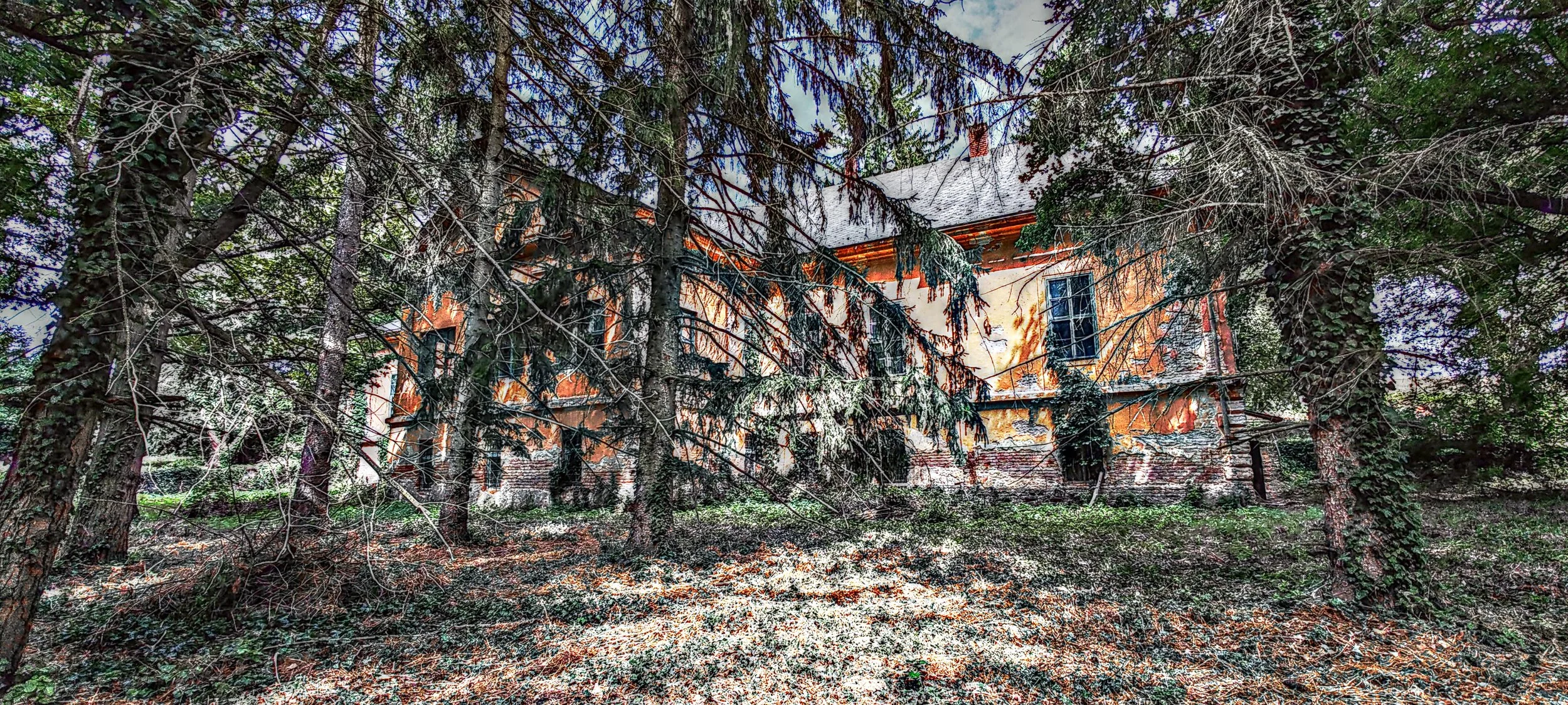 Ein verfallenes Haus hinter Bäumen in einem Wald, mit beschädigten Wänden und verfärbter Fassade.