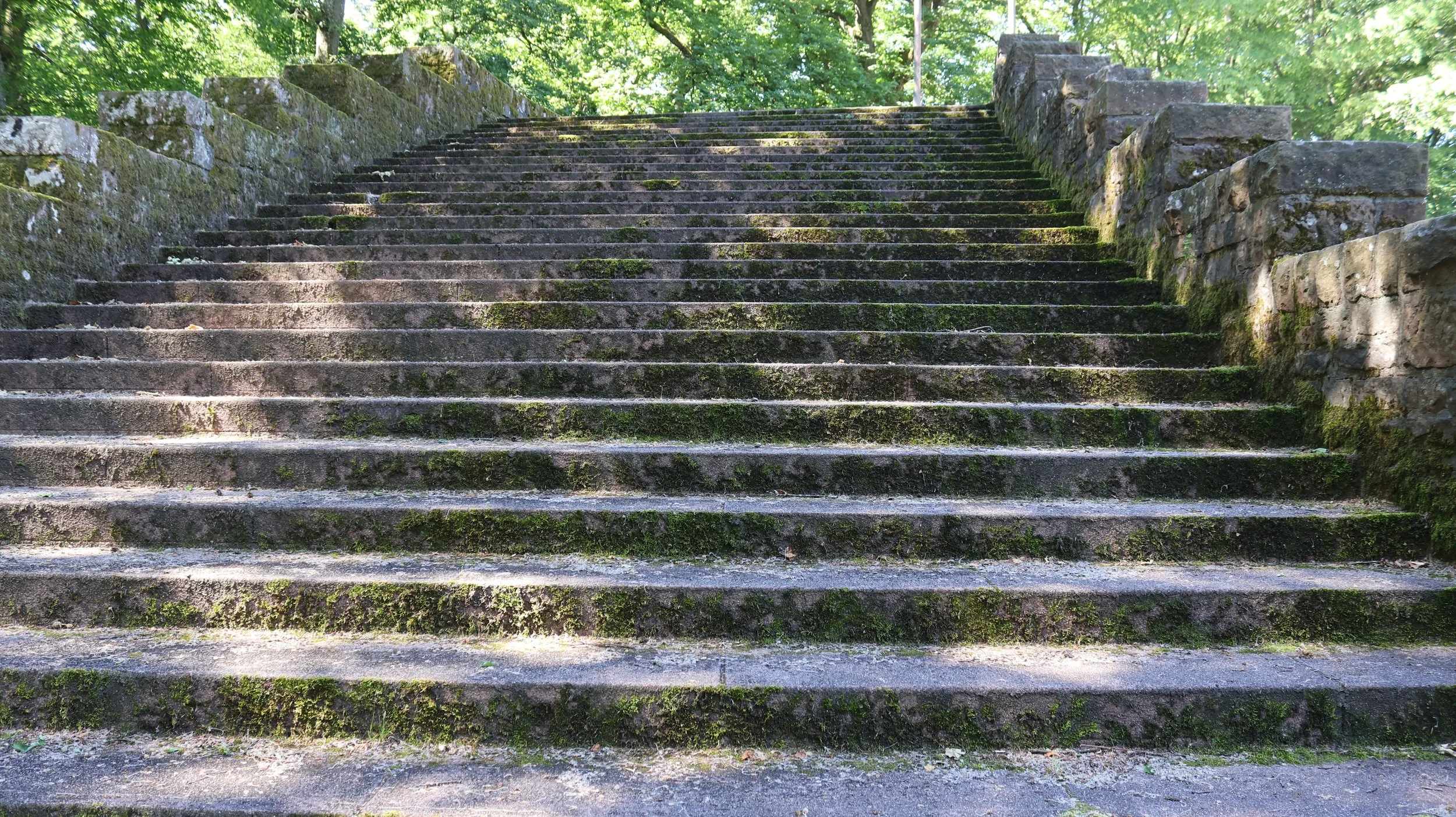 Alte Steinmetertreppe im Wald mit Moosbewuchs