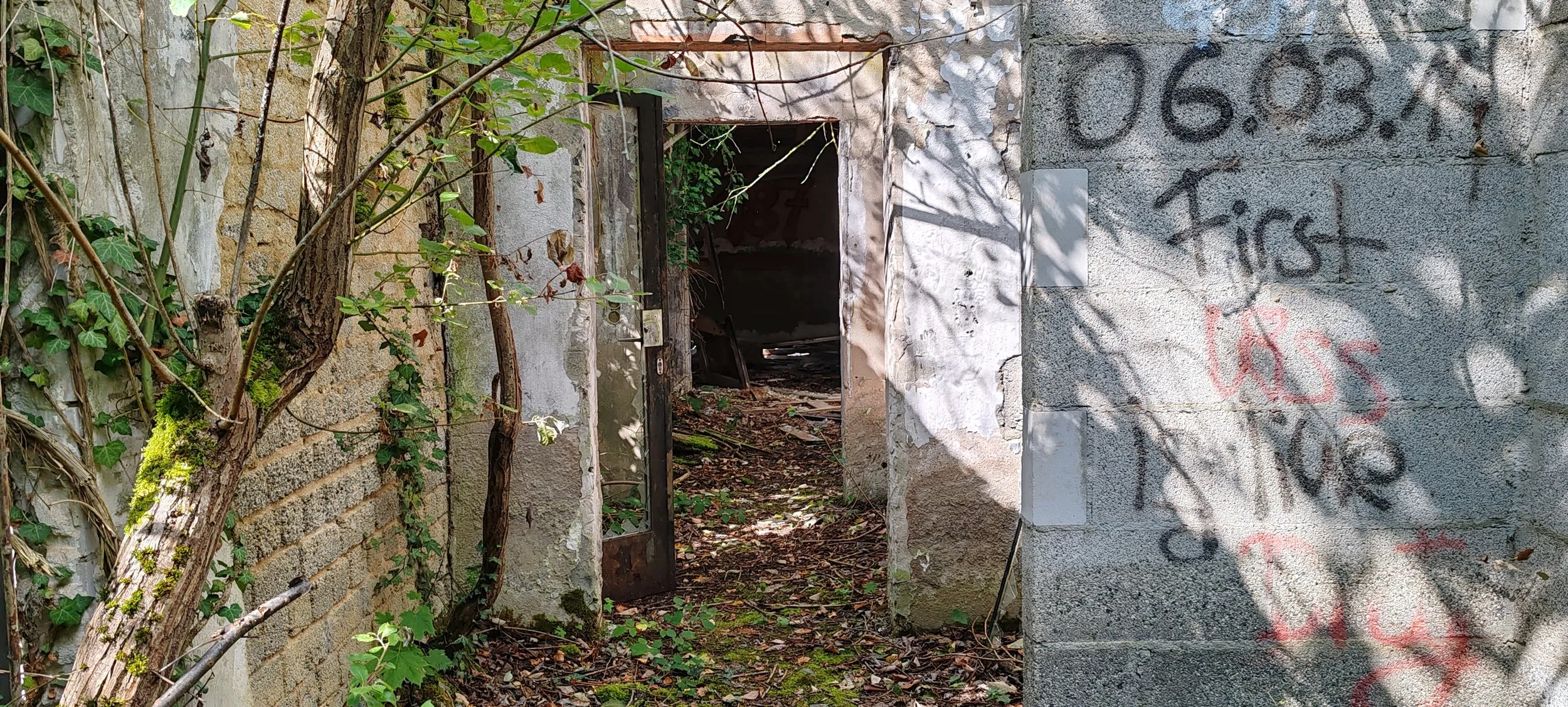 Verfallenes Gebäude mit Türöffnung, umgeben von Natur und Graffiti an der Wand.