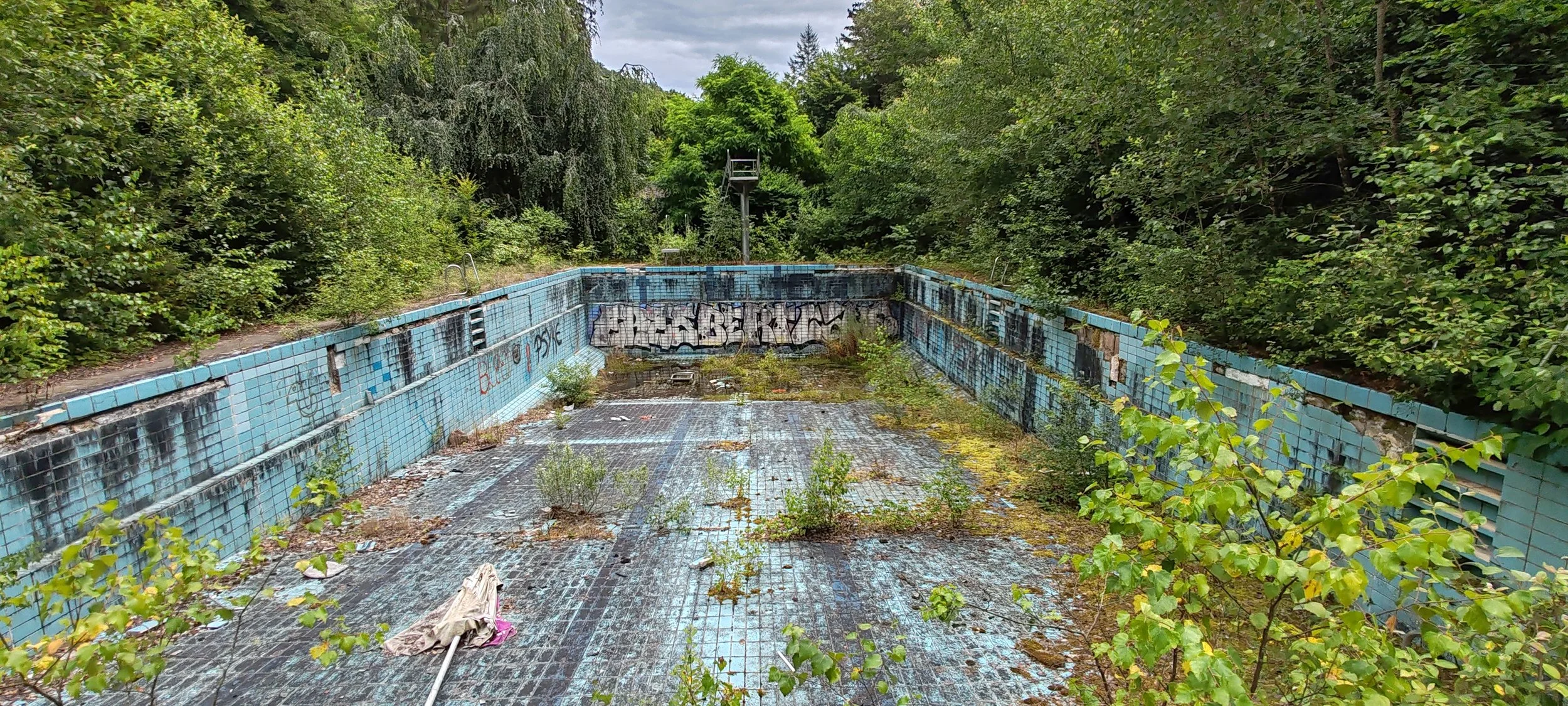 Verlassenes, verfallenes Schwimmbad mit verrosteten blauen Fliesen, grauen Wasserpfützen, Unkraut und Graffiti, umgeben von dichten Grünflächen.