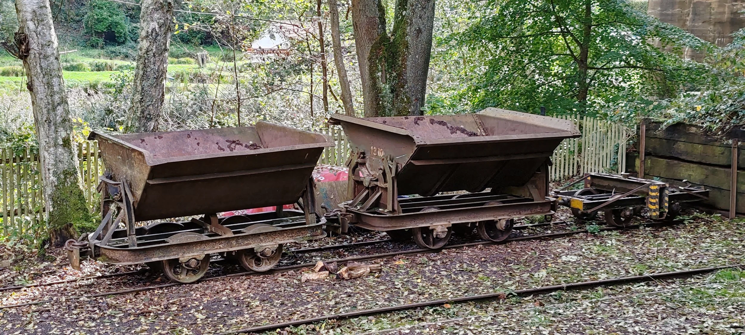 Alte, verrostete Eisenbahnwaggons stehen auf Schienen in einem grünen, bewaldeten Bereich.