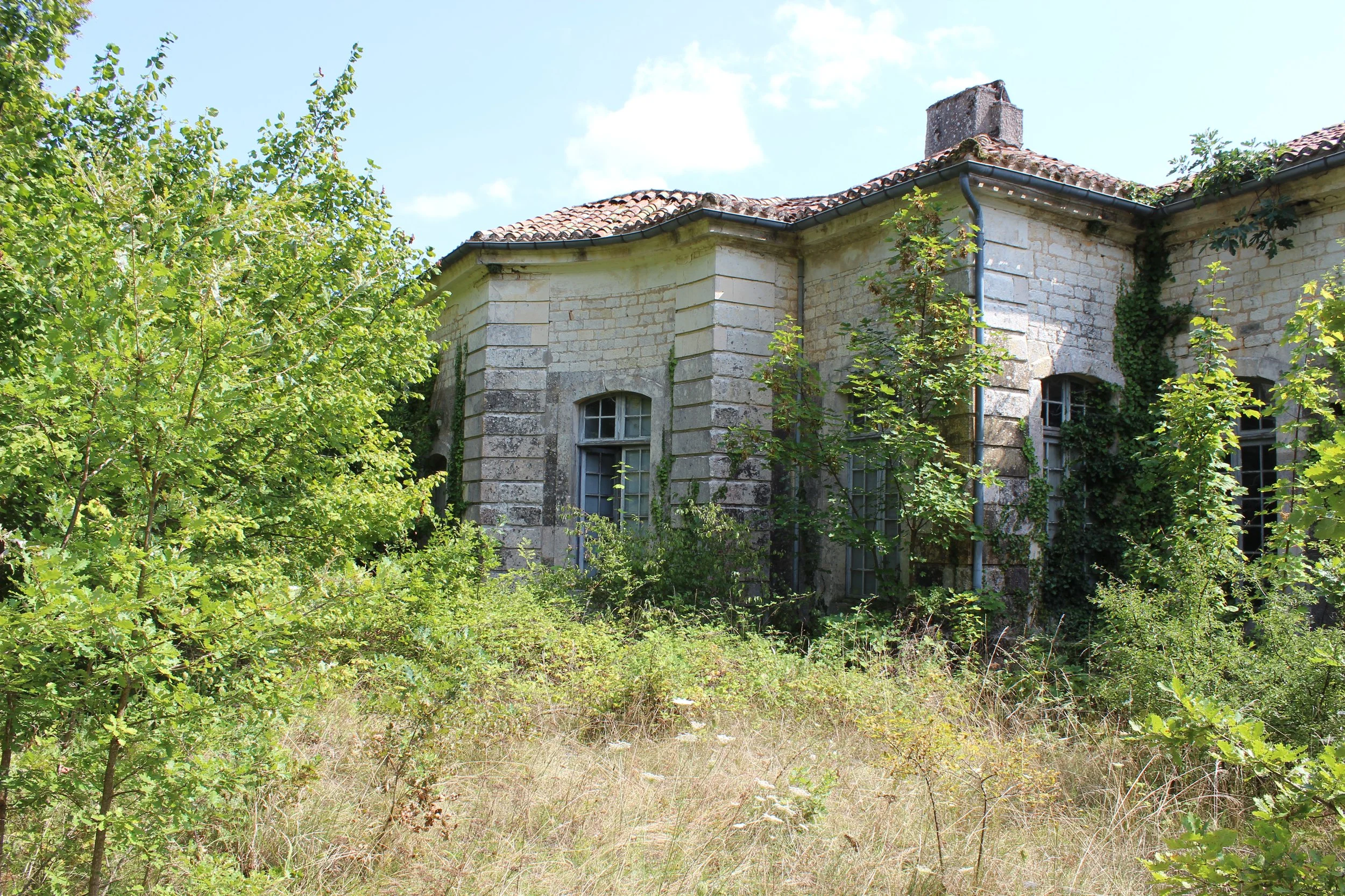 Ein altes, verfallenes Gebäude mit Steinfassade und dichten grünen Pflanzen, umgeben von Vegetation im Vordergrund, bei sonnigem Himmel.