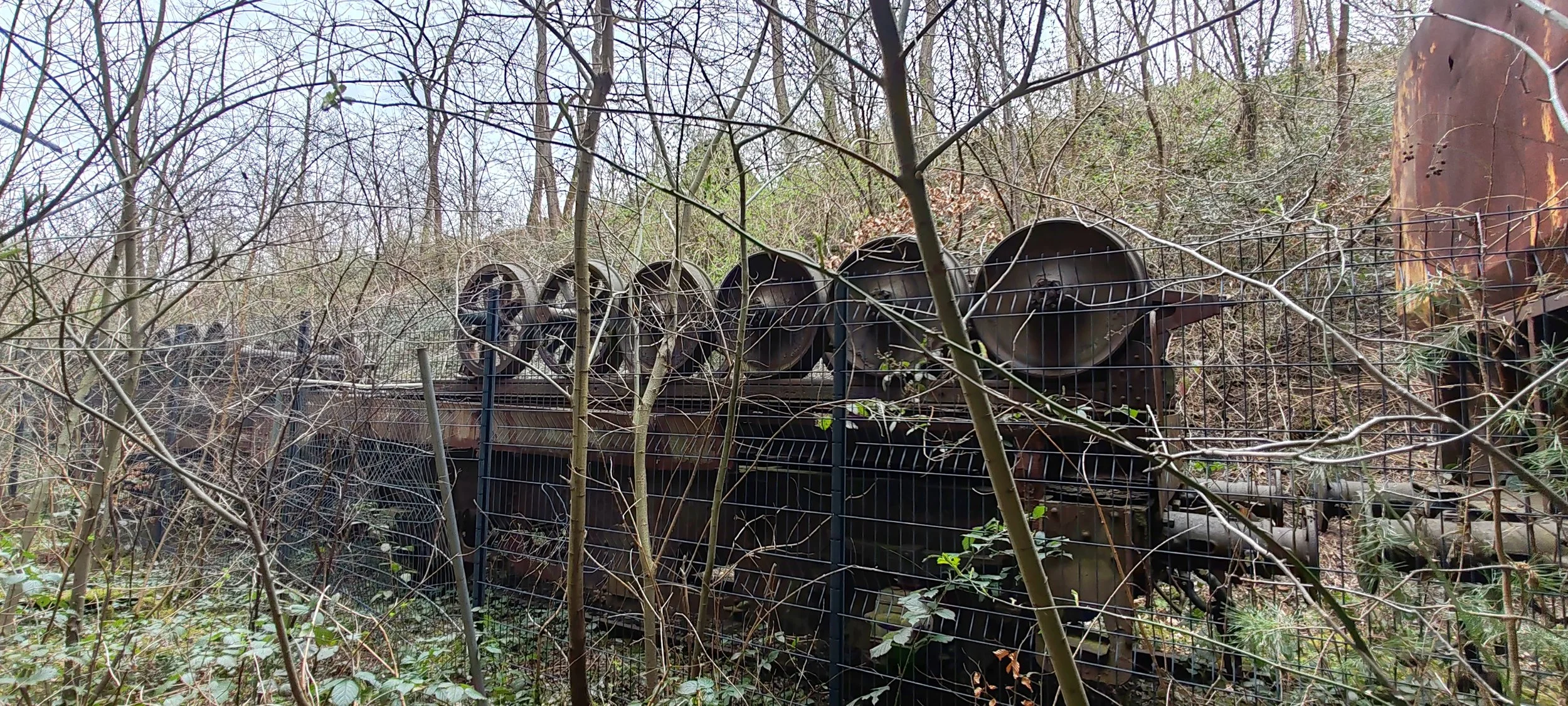 Altes, verrostetes, stillstehendes Eisenbahnwaggon im Wildwuchs, umgeben von Zweigen und Büschen, in einem Waldgebiet