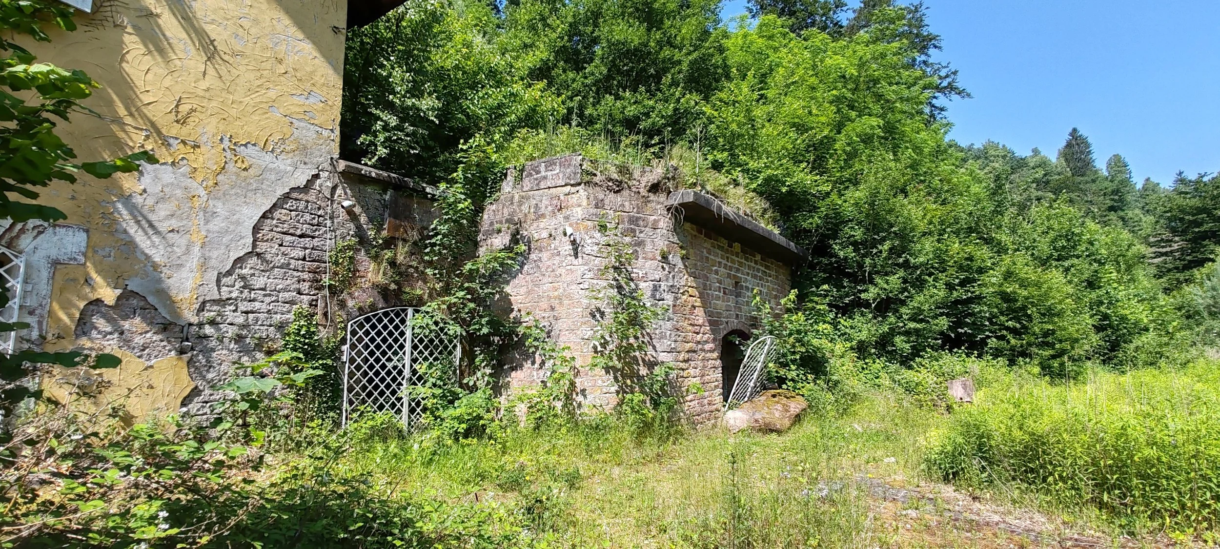 Verfallenes Gebäude mit bauschiger Vegetation im Grünen, umgeben von Bäumen und einem klaren blauen Himmel.