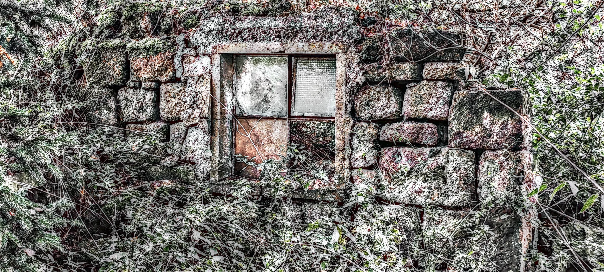 Ein altes, verfallenes Steinhaus mit einem kleinen Fenster, umgeben von dichten Pflanzen und überwuchertem Dickicht.