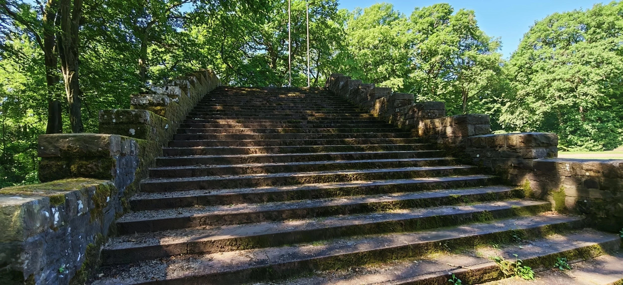 Steinerne Treppe in einem grünen Park, umgeben von Bäumen, bei Sonnenschein.
