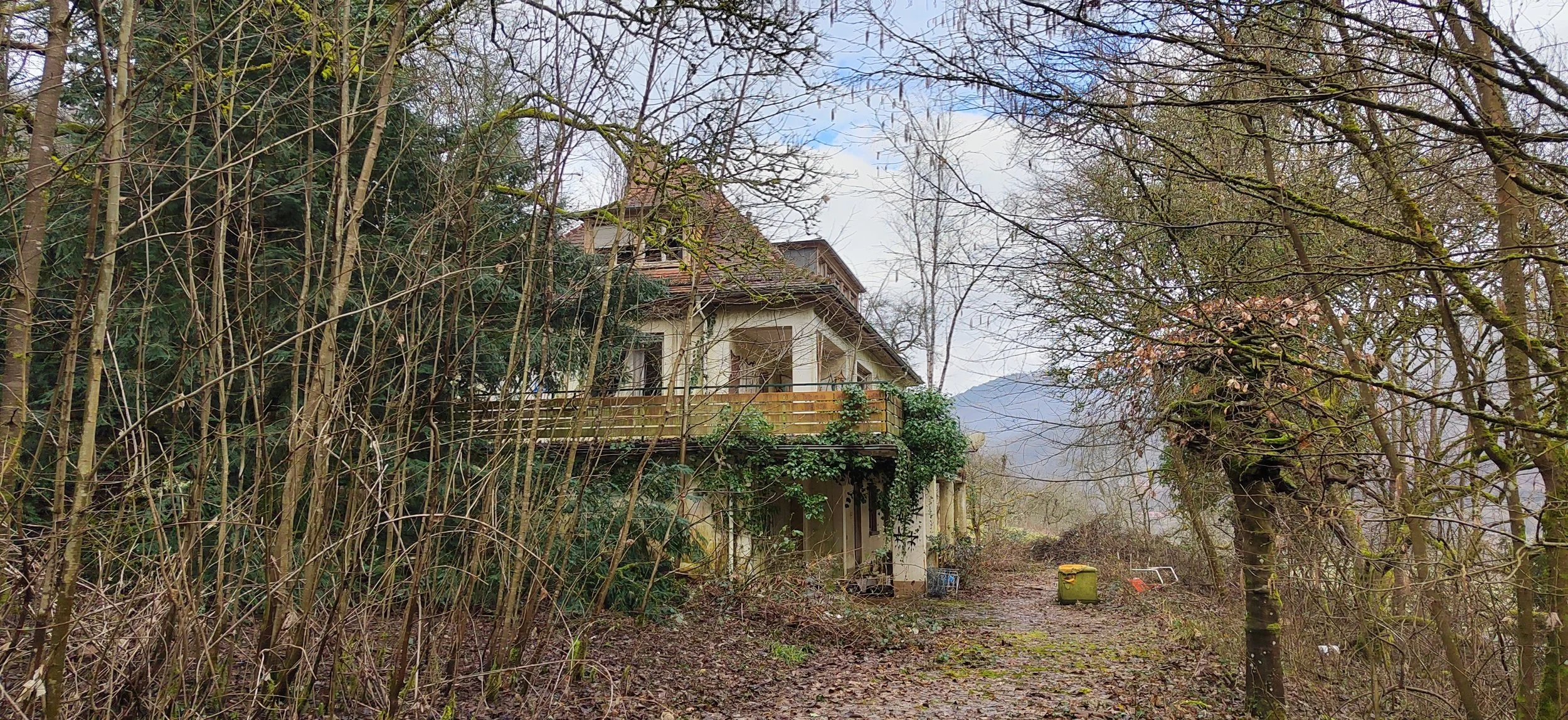 Verfallenes Haus umgeben von Bäumen und Sträuchern in einer unordentlichen, überwachsenen Umgebung.